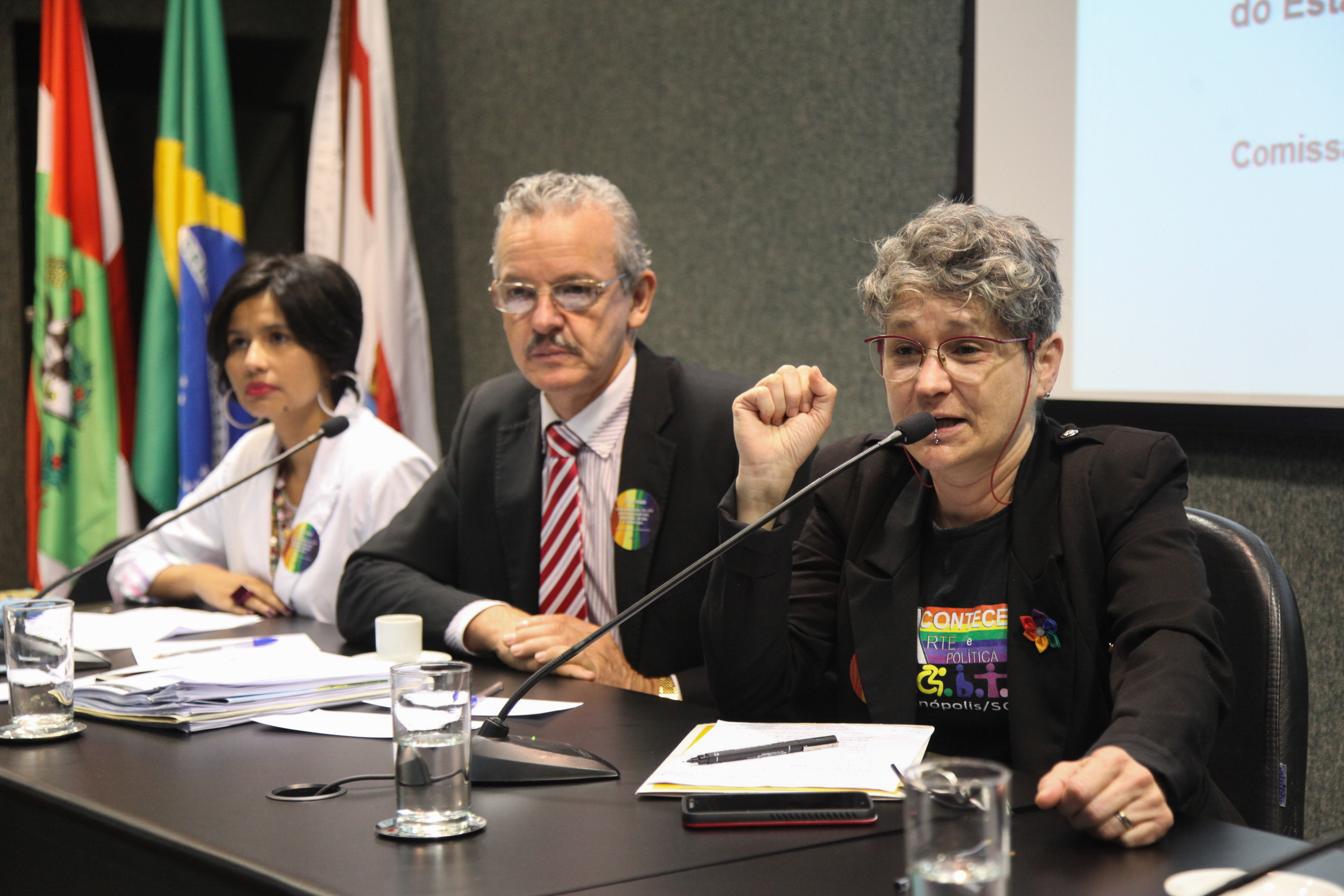 Comissão dos Direitos Humanos Promove Audiência Pública Sobre Dia Internacional Contra LGBTfobia