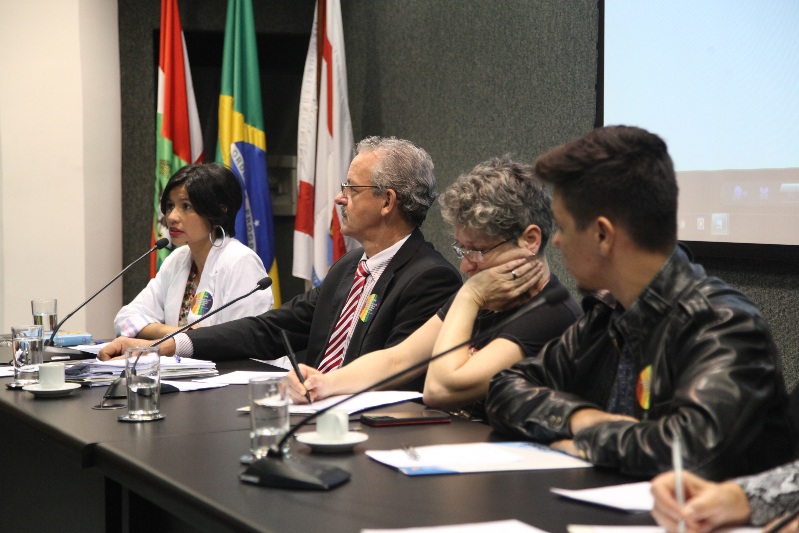 Comissão dos Direitos Humanos Promove Audiência Pública Sobre Dia Internacional Contra LGBTfobia