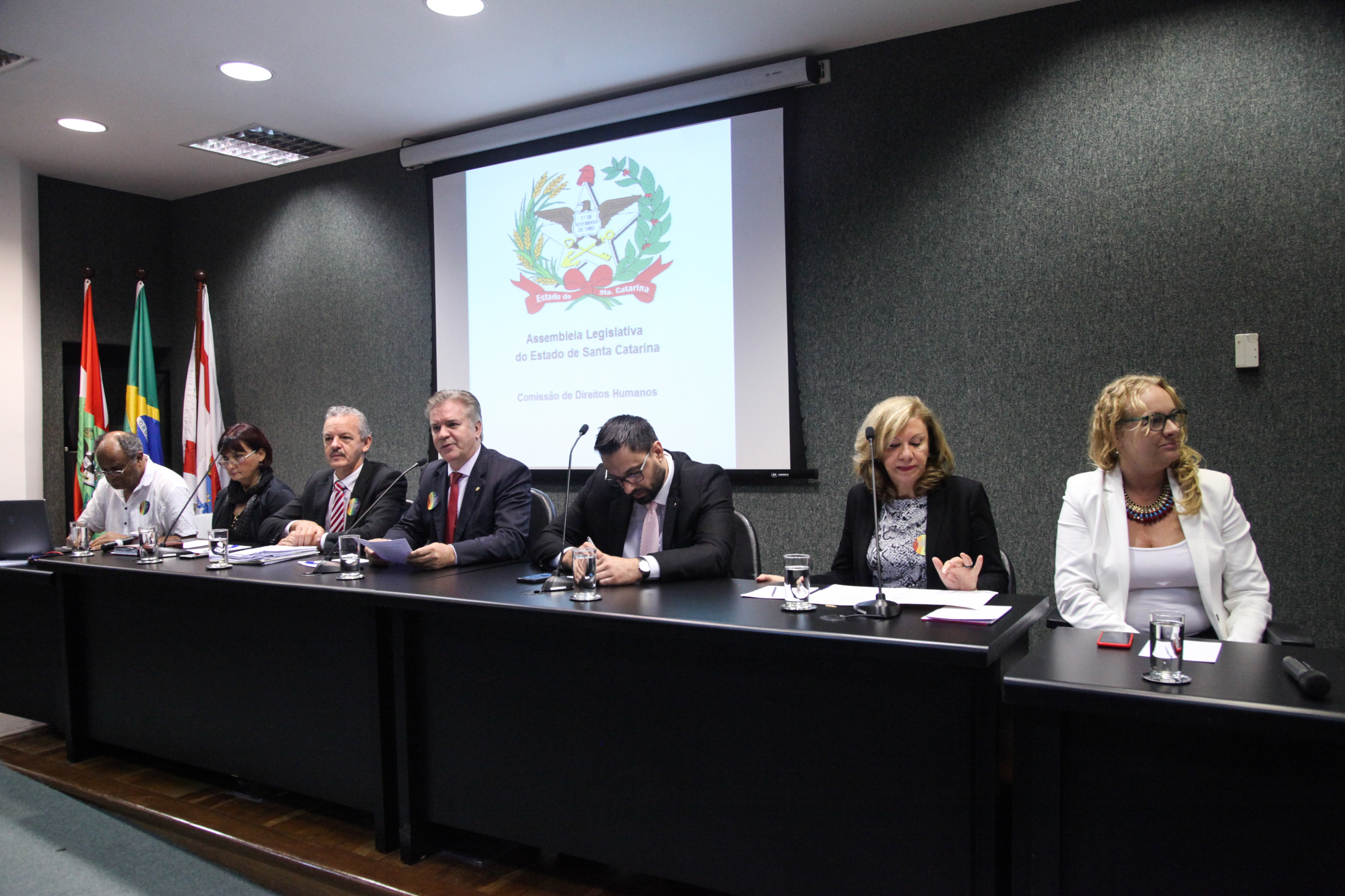 Comissão dos Direitos Humanos Promove Audiência Pública Sobre Dia Internacional Contra LGBTfobia