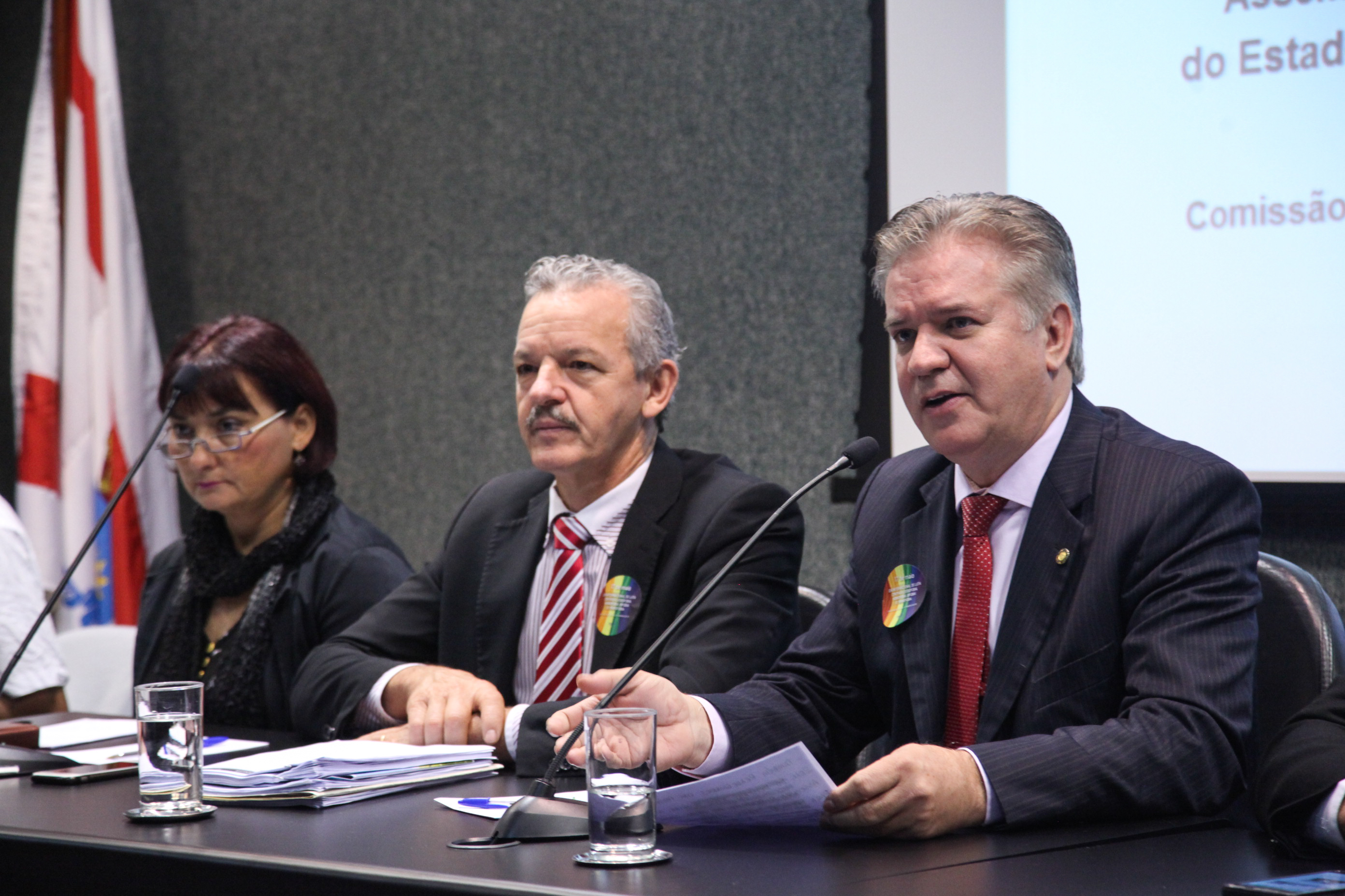 Comissão dos Direitos Humanos Promove Audiência Pública Sobre Dia Internacional Contra LGBTfobia