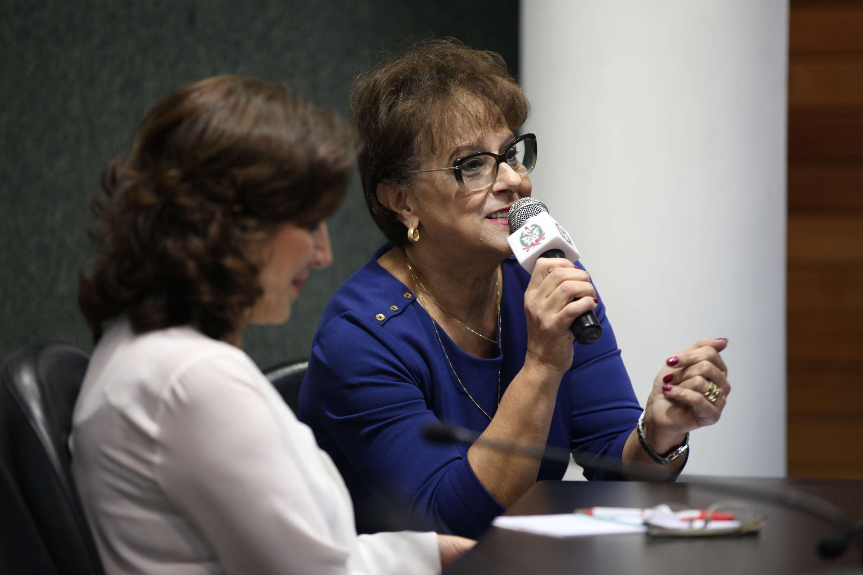 Deputada Dirce Heiderscheidt (PMDB). VIII Encontro das Mulheres Parlamentares.
