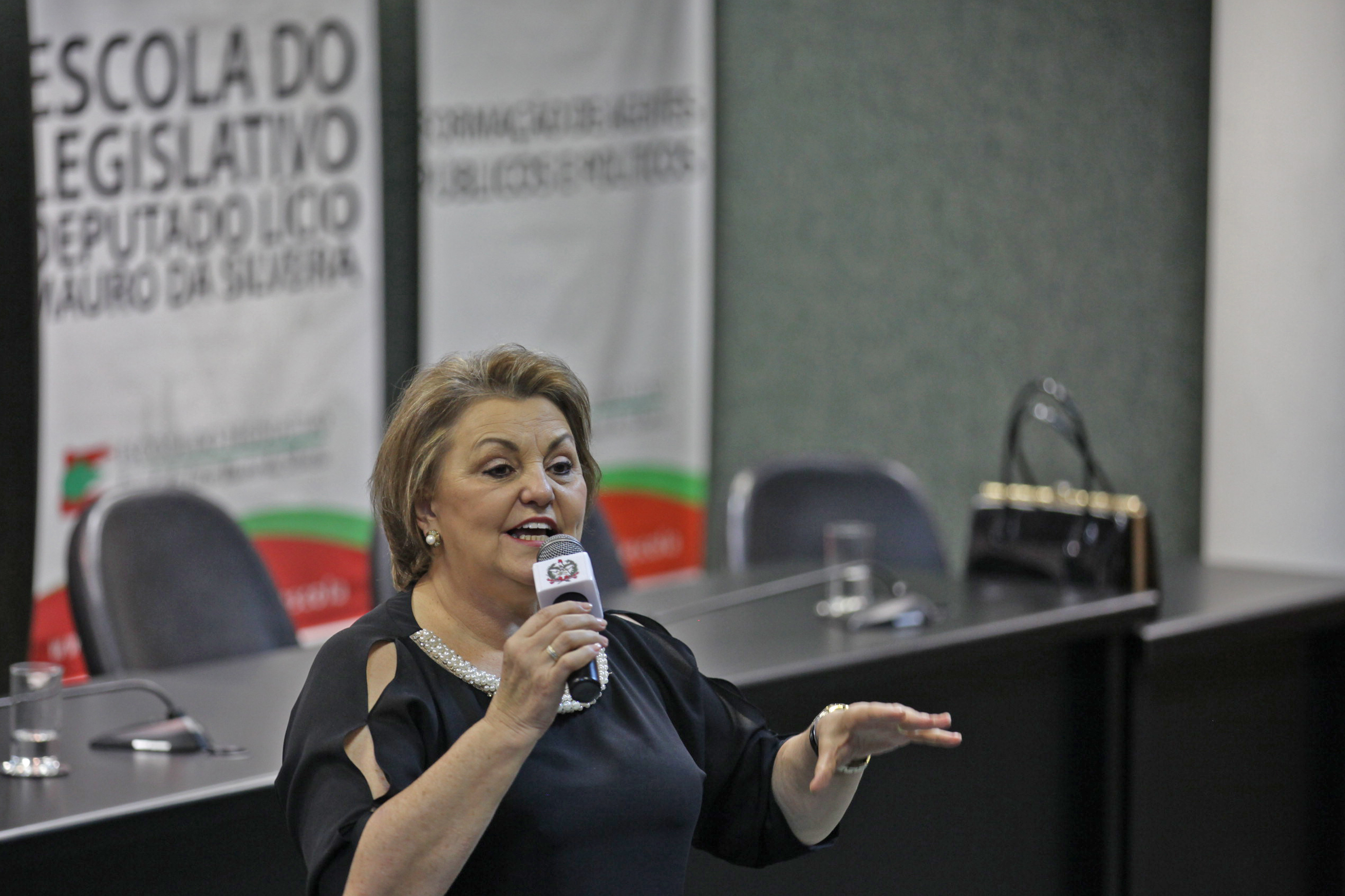 Maria Teresinha Debatin. VIII Encontro das Mulheres Parlamentares.