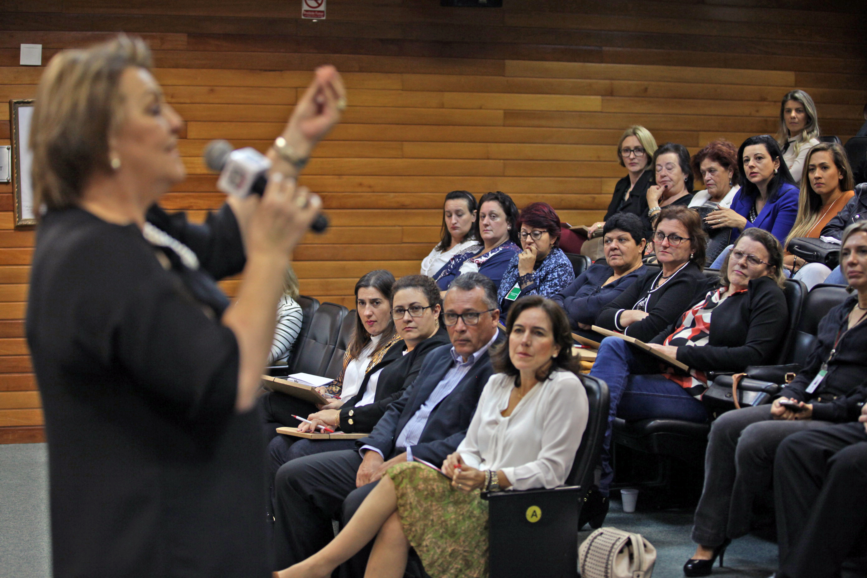 Maria Teresinha Debatin. VIII Encontro das Mulheres Parlamentares.
