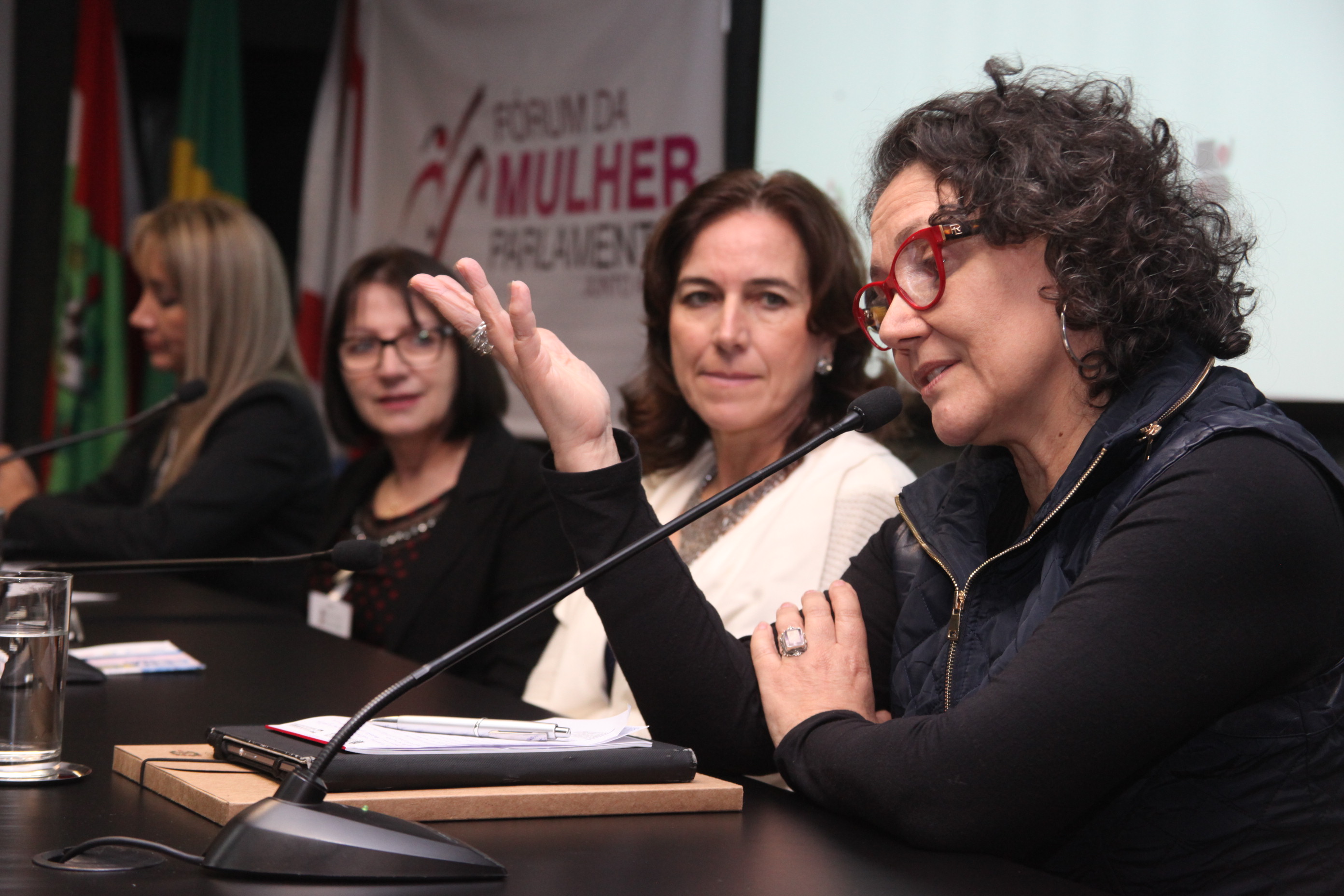 VIII Encontro de Mulheres Parlamentares. Foto: Fábio Queiroz / Agência AL