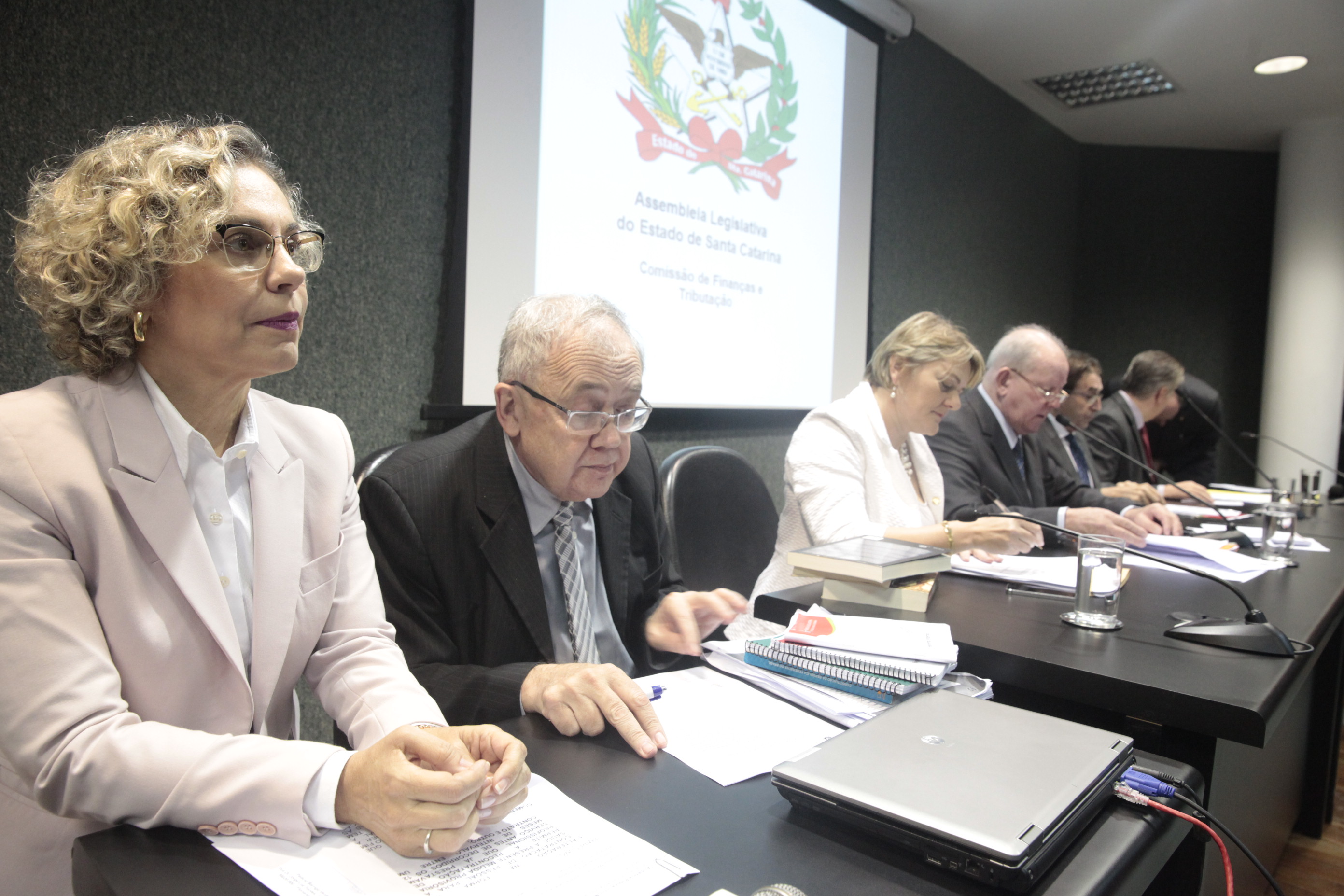 Comissão de Finanças promove Audiência Pública para tratar da medida provisória 210/2017.