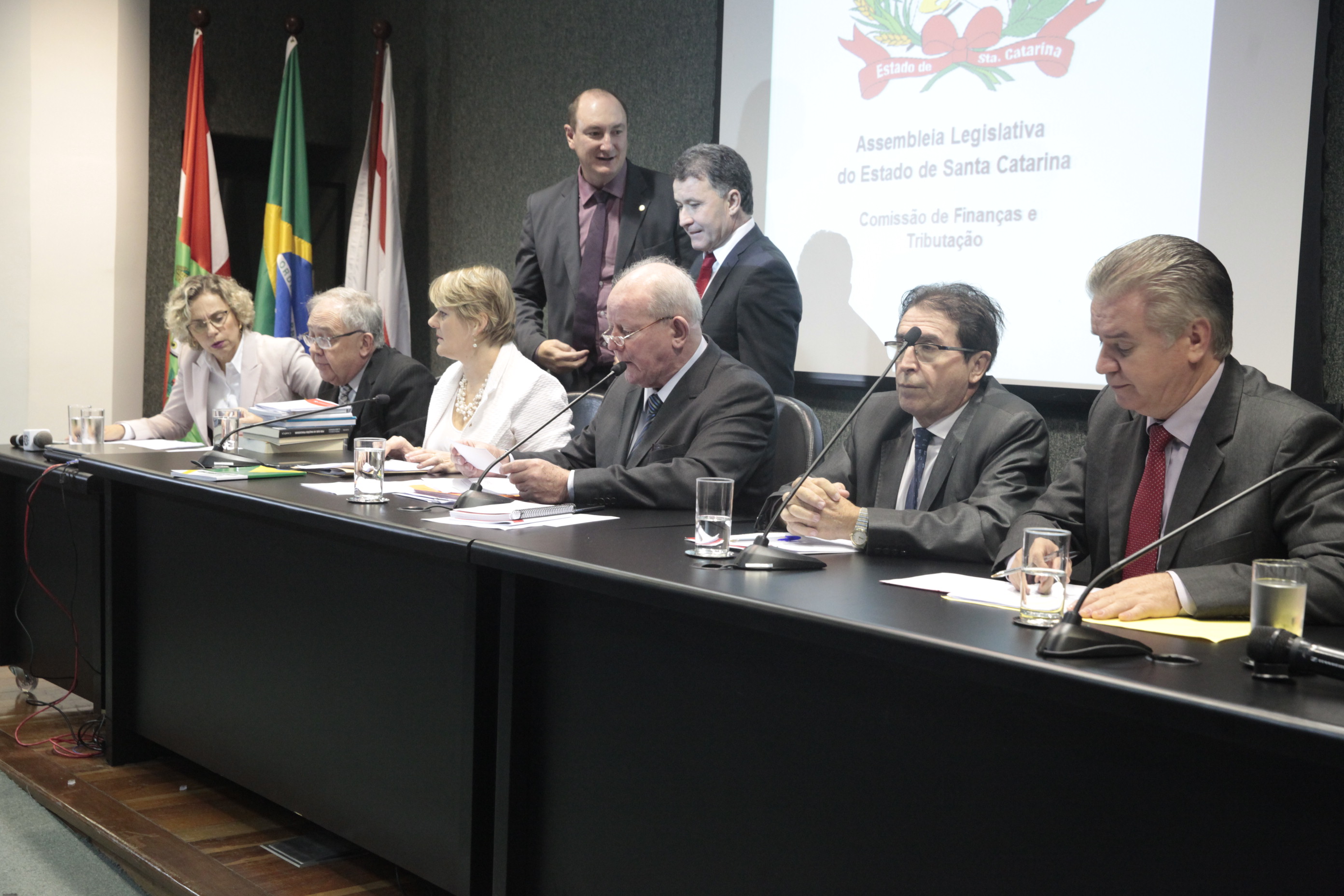 Comissão de Finanças promove Audiência Pública para tratar da medida provisória 210/2017.