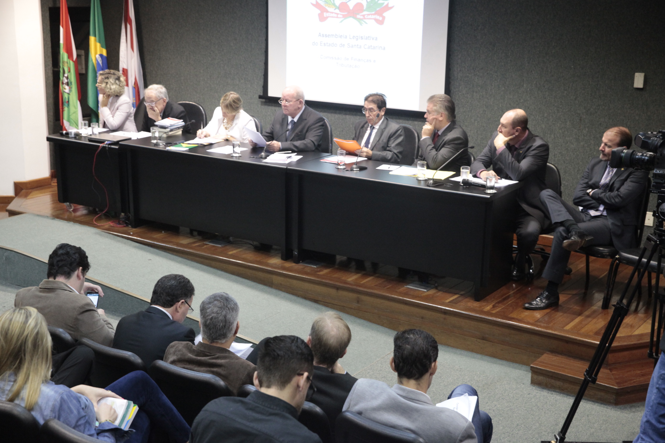 Comissão de Finanças promove Audiência Pública para tratar da medida provisória 210/2017.