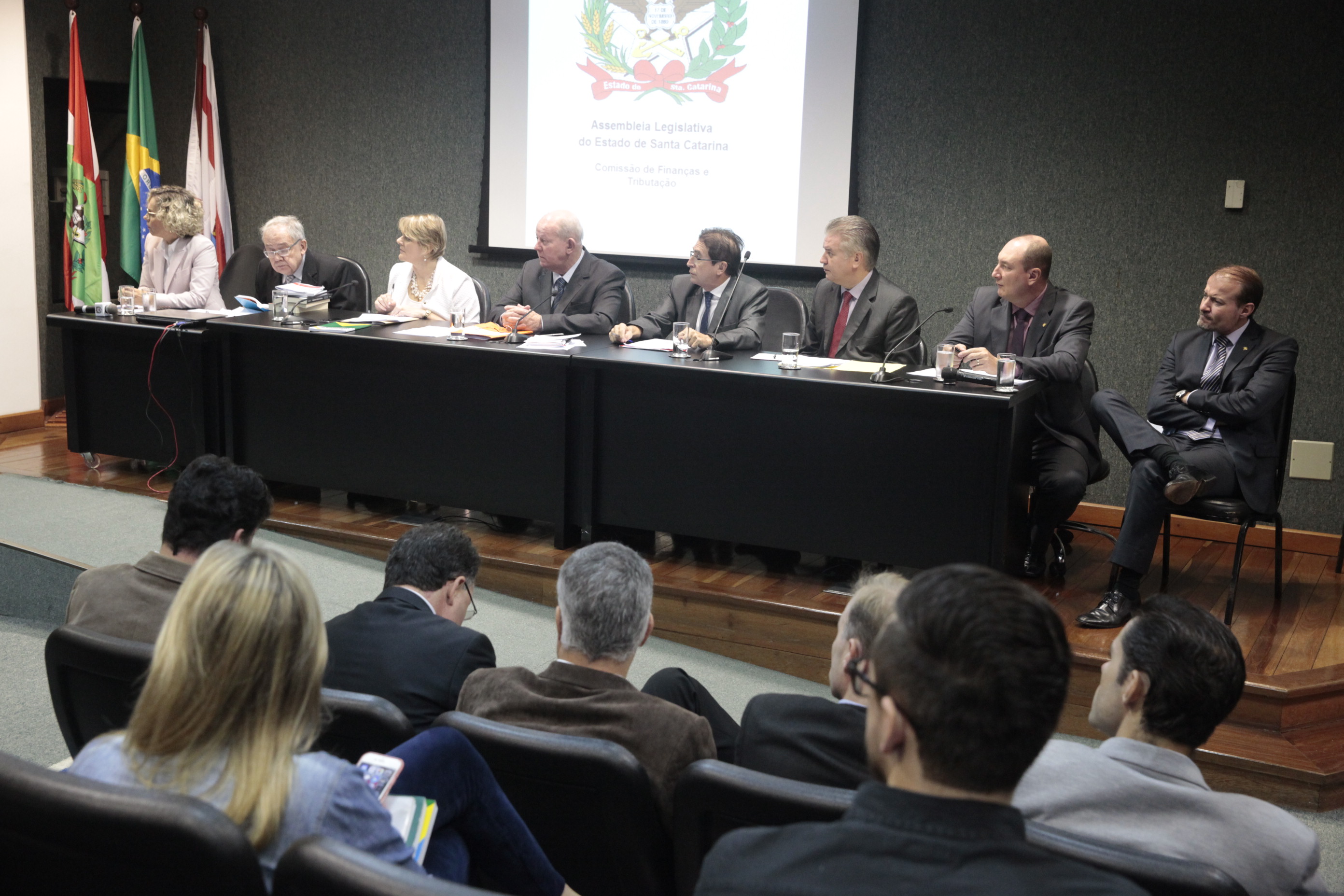 Comissão de Finanças promove Audiência Pública para tratar da medida provisória 210/2017.