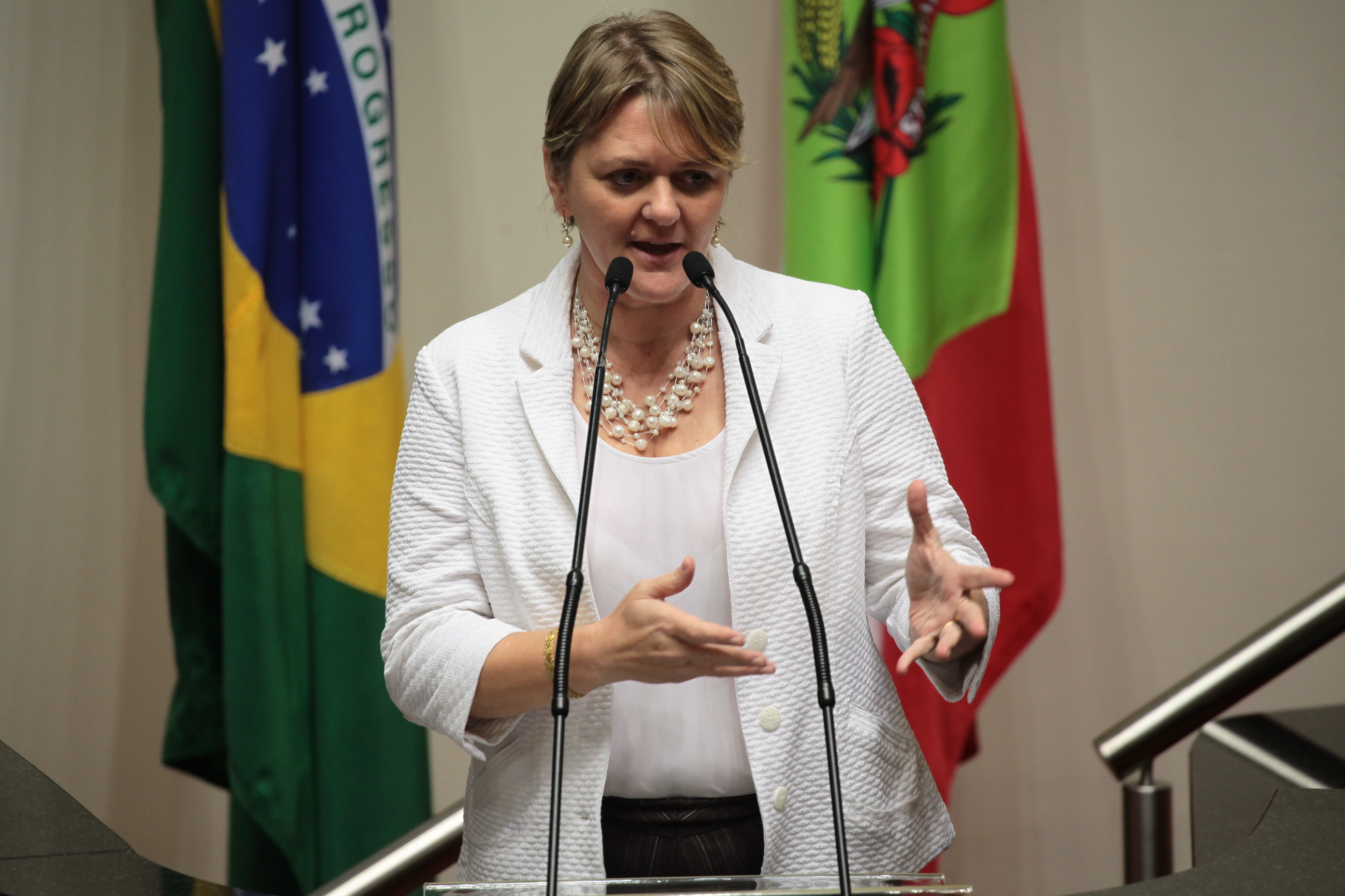 Sessão Ordinária. Deputada Luciane Carminatti (PT)