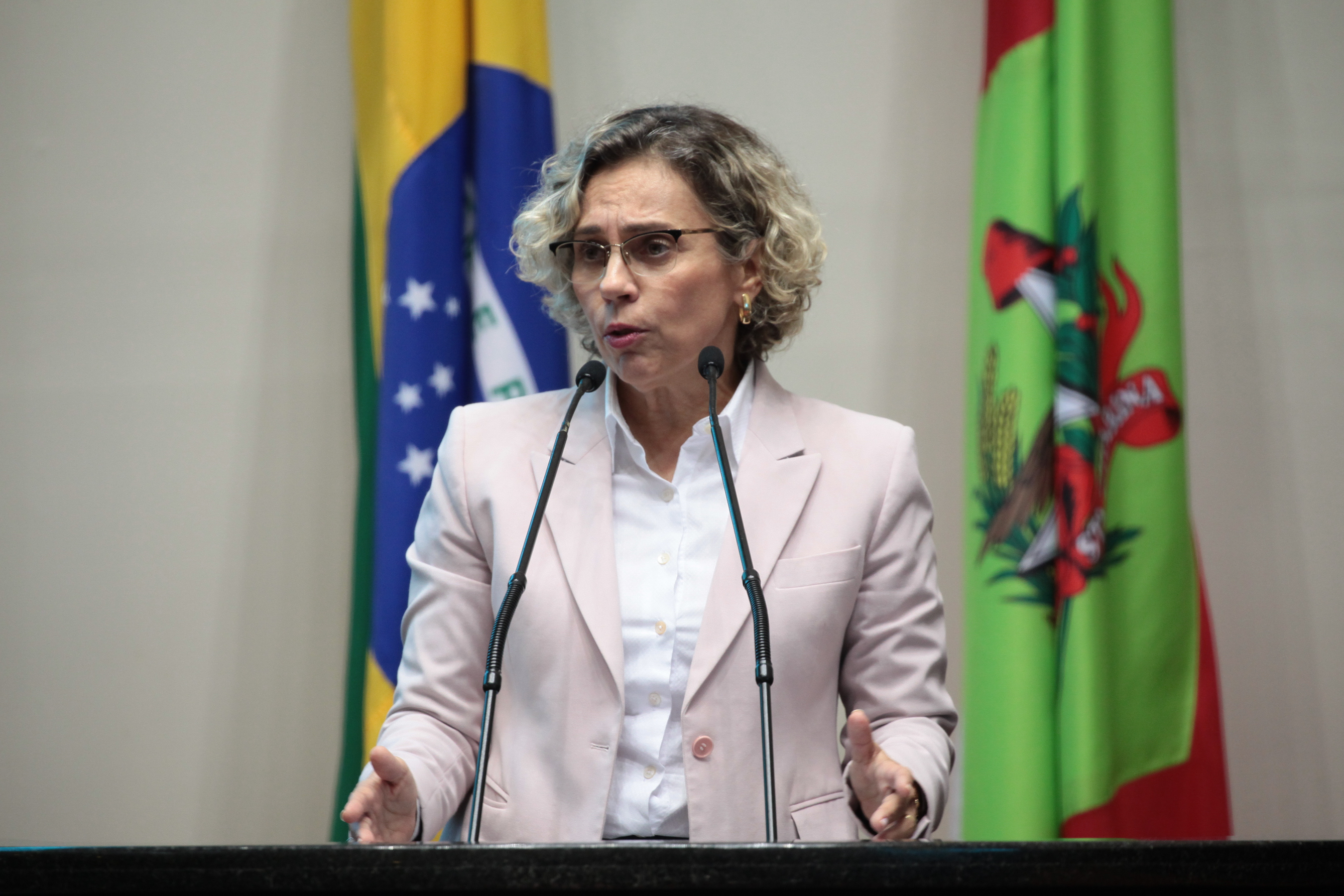 Deputada Ana Paula Lima (PT). Sessão Ordinária.