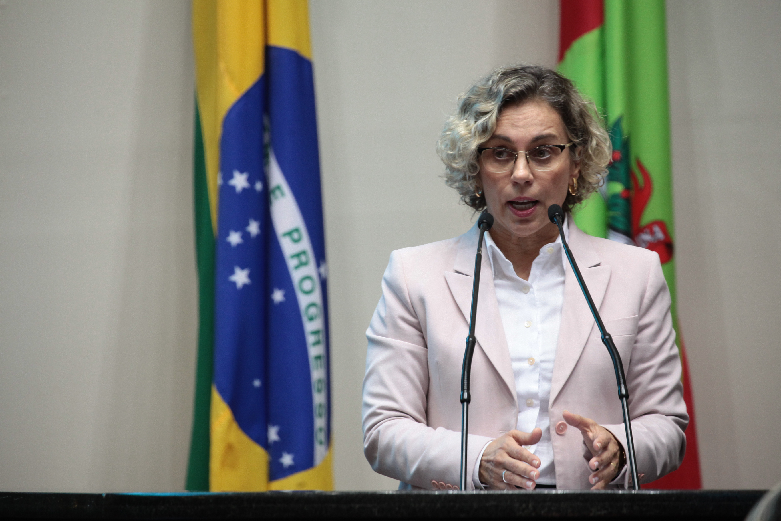 Deputada Ana Paula Lima (PT). Sessão Ordinária.