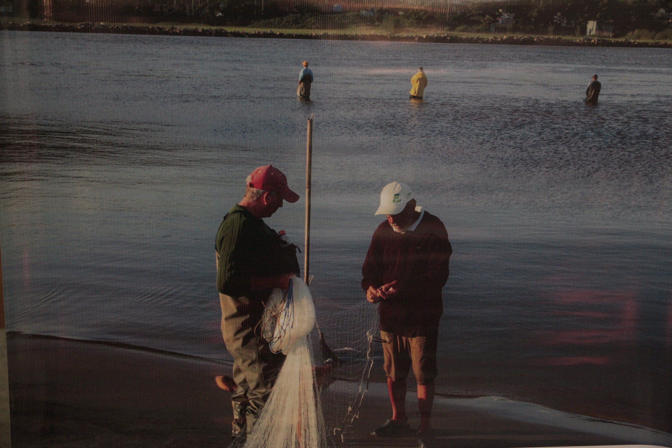 Dia Estadual do Boto Pescador