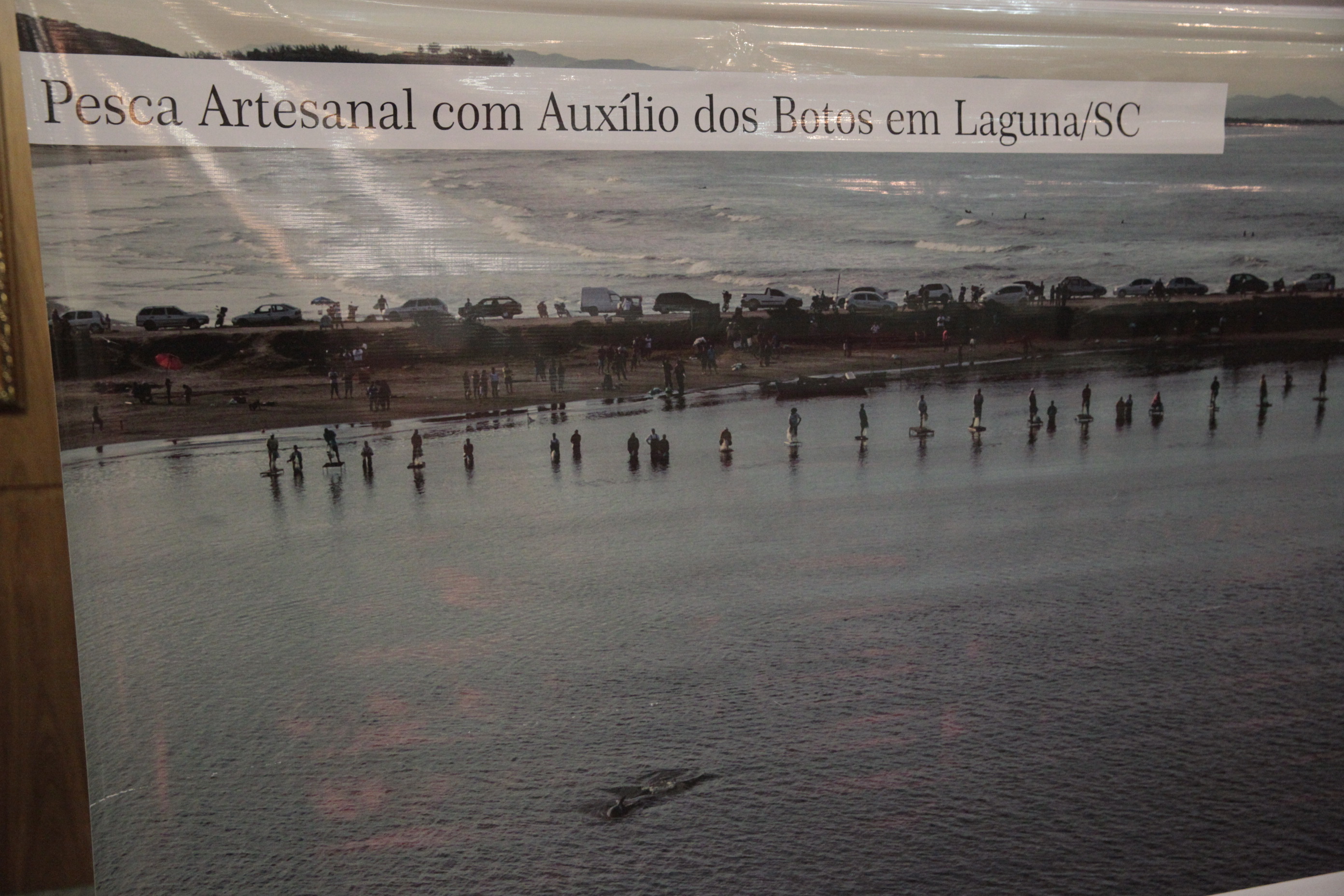 Dia Estadual do Boto Pescador