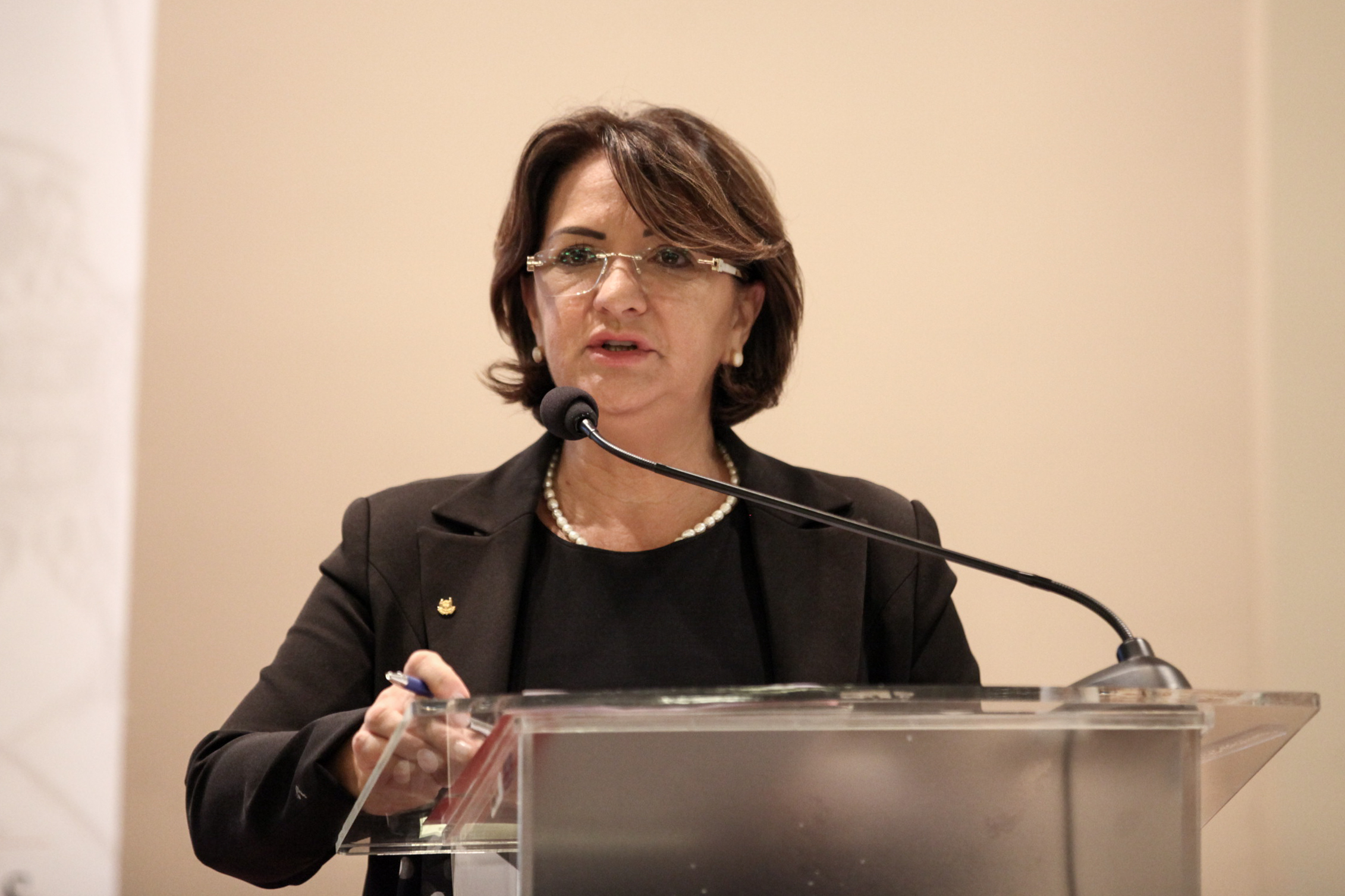 IV Seminário de Saúde e Prevenção das Deficiências das APAEs de Santa Catarina.
