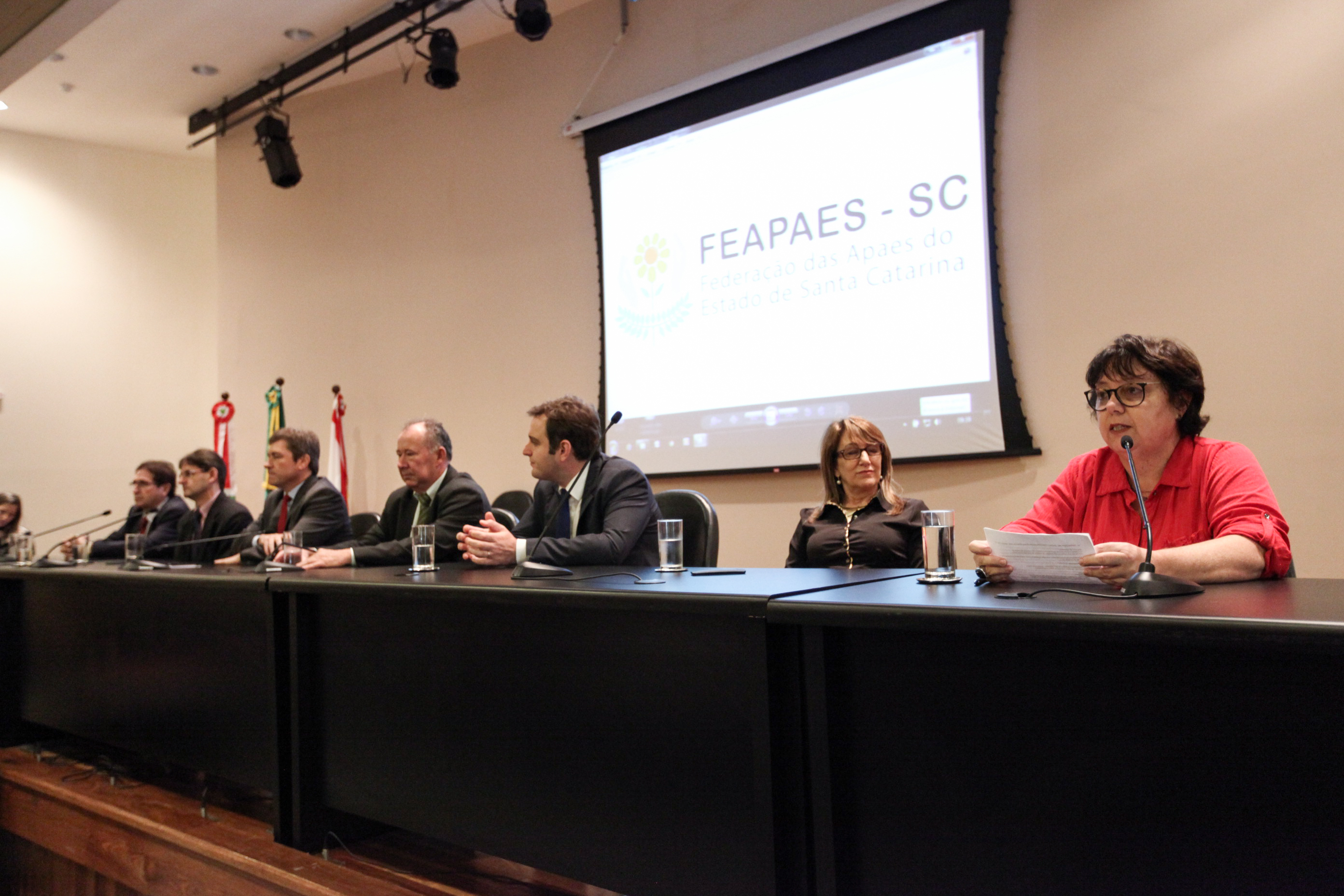 IV Seminário de Saúde e Prevenção das Deficiências das APAEs de Santa Catarina.
