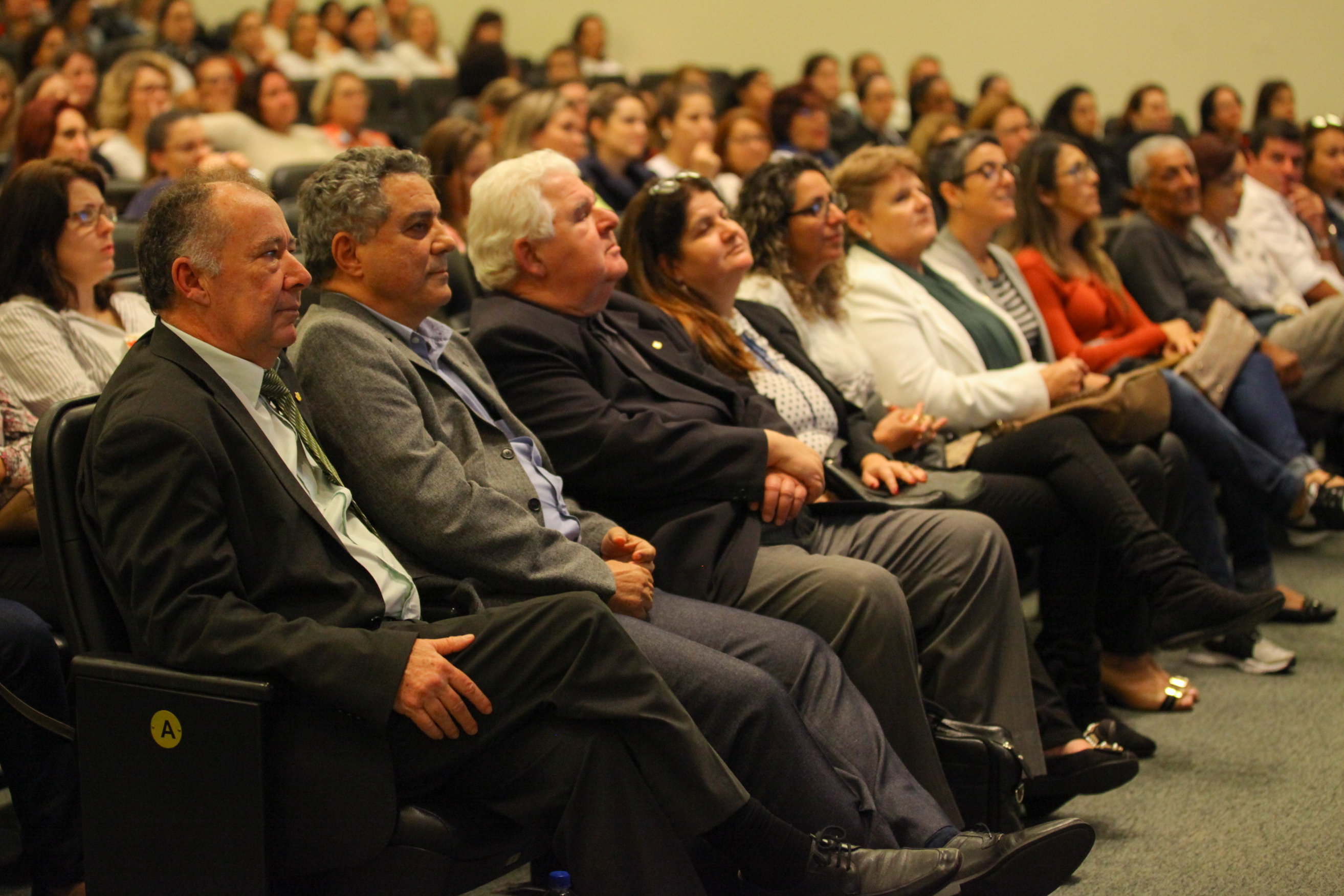IV Seminário de Saúde e Prevenção das Deficiências das APAEs de Santa Catarina