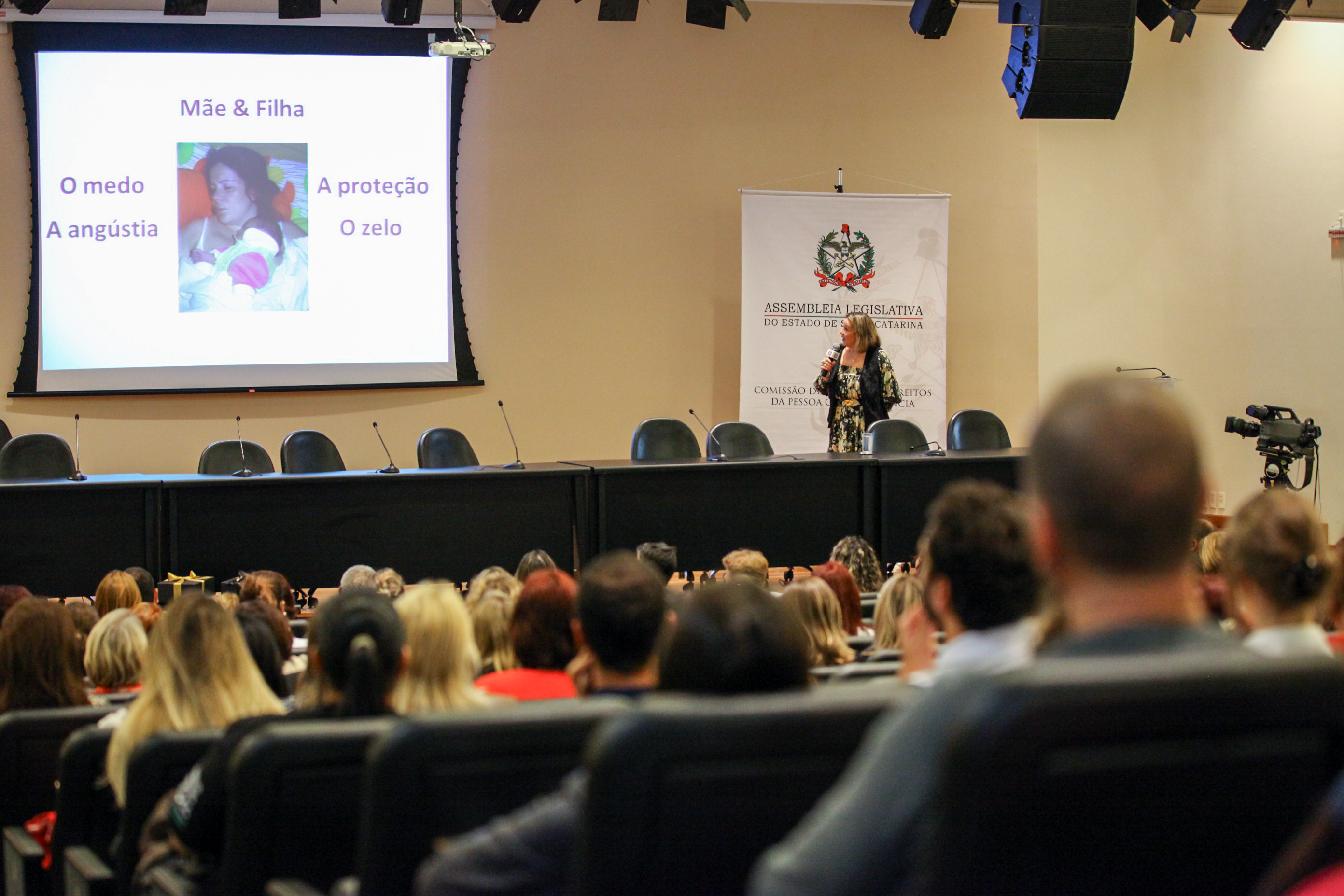 IV Seminário de Saúde e Prevenção das Deficiências das APAEs de Santa Catarina