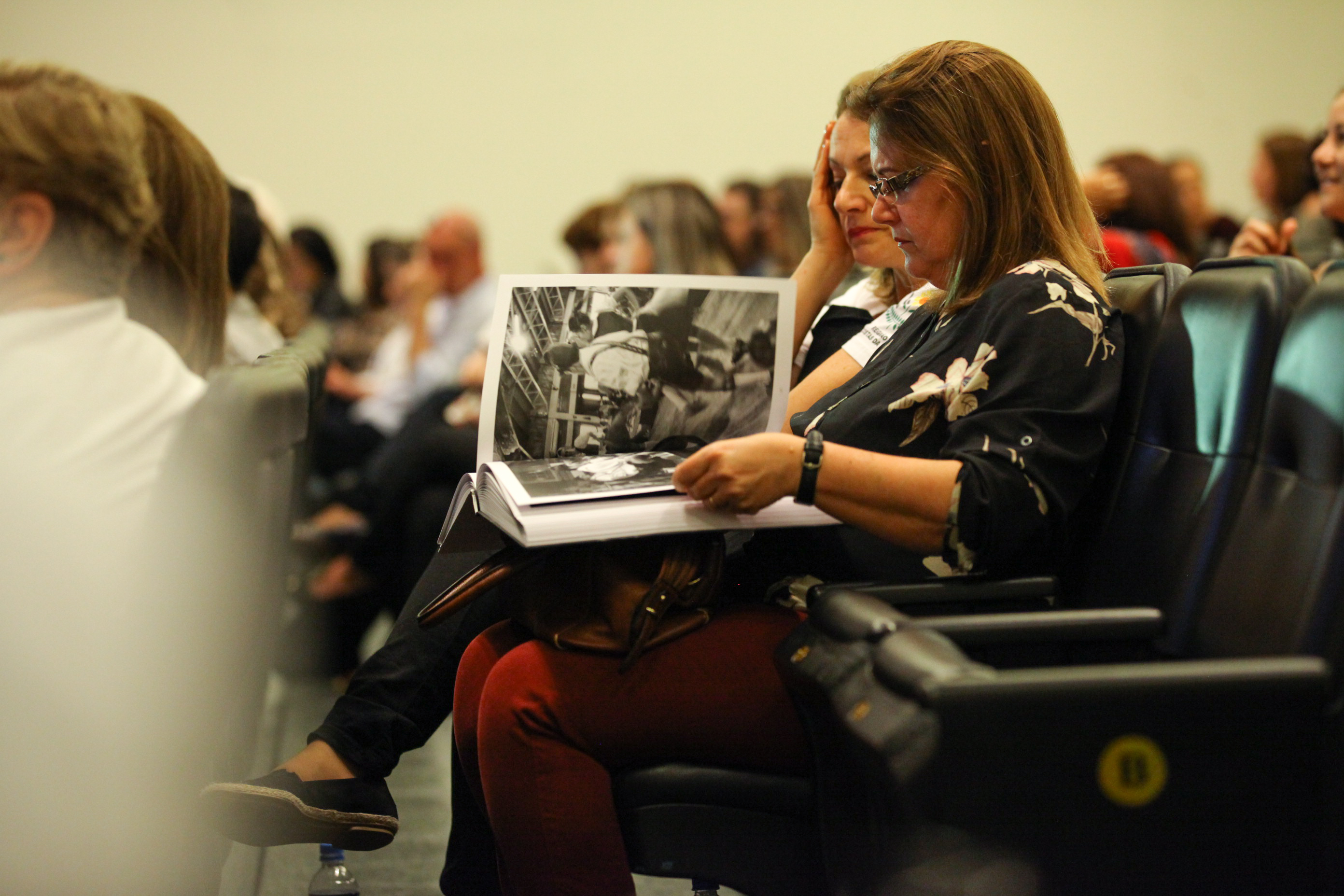 IV Seminário de Saúde e Prevenção das Deficiências das APAEs de Santa Catarina