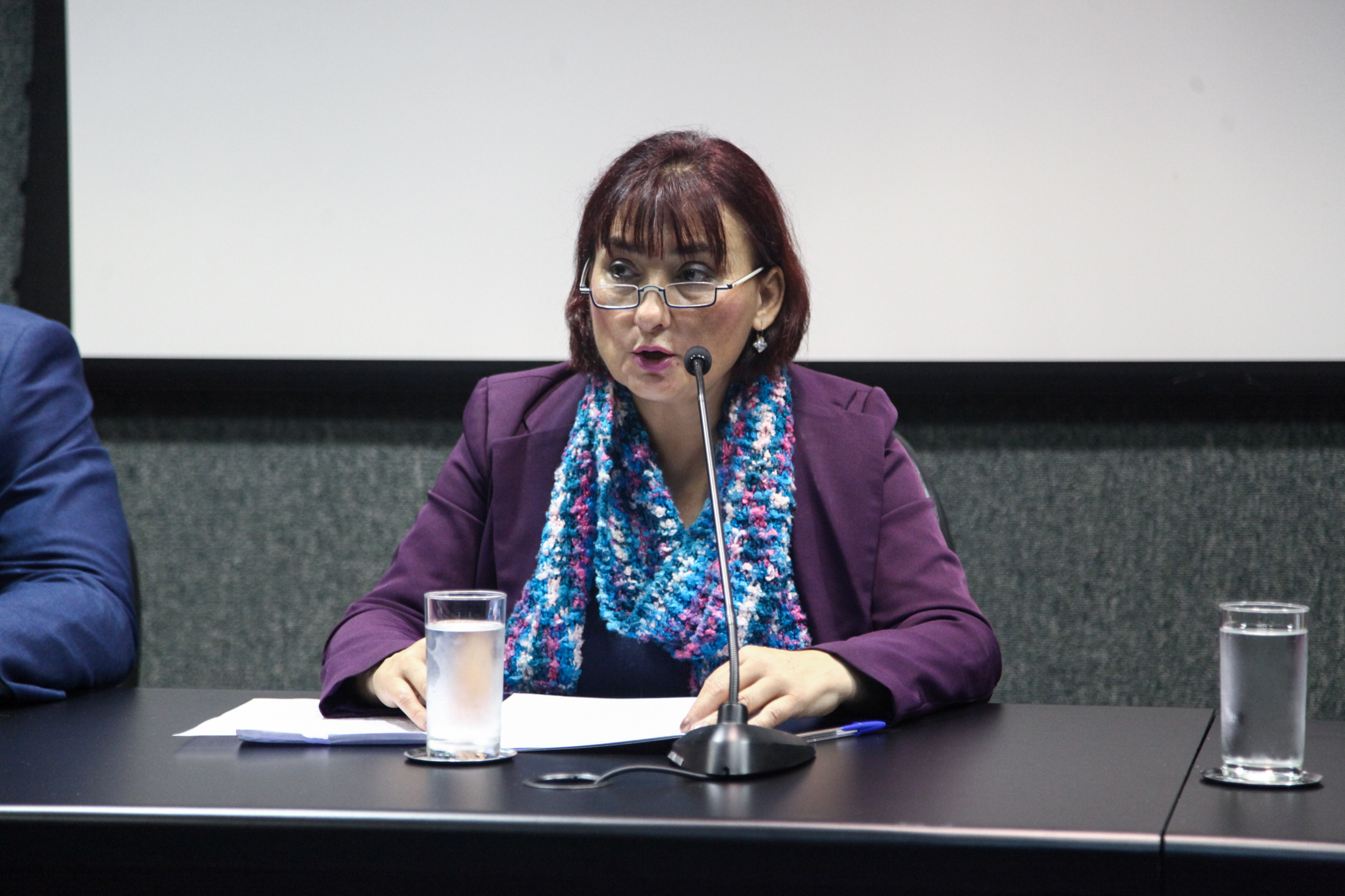 Debate Sobre Luta Antimanicomial.