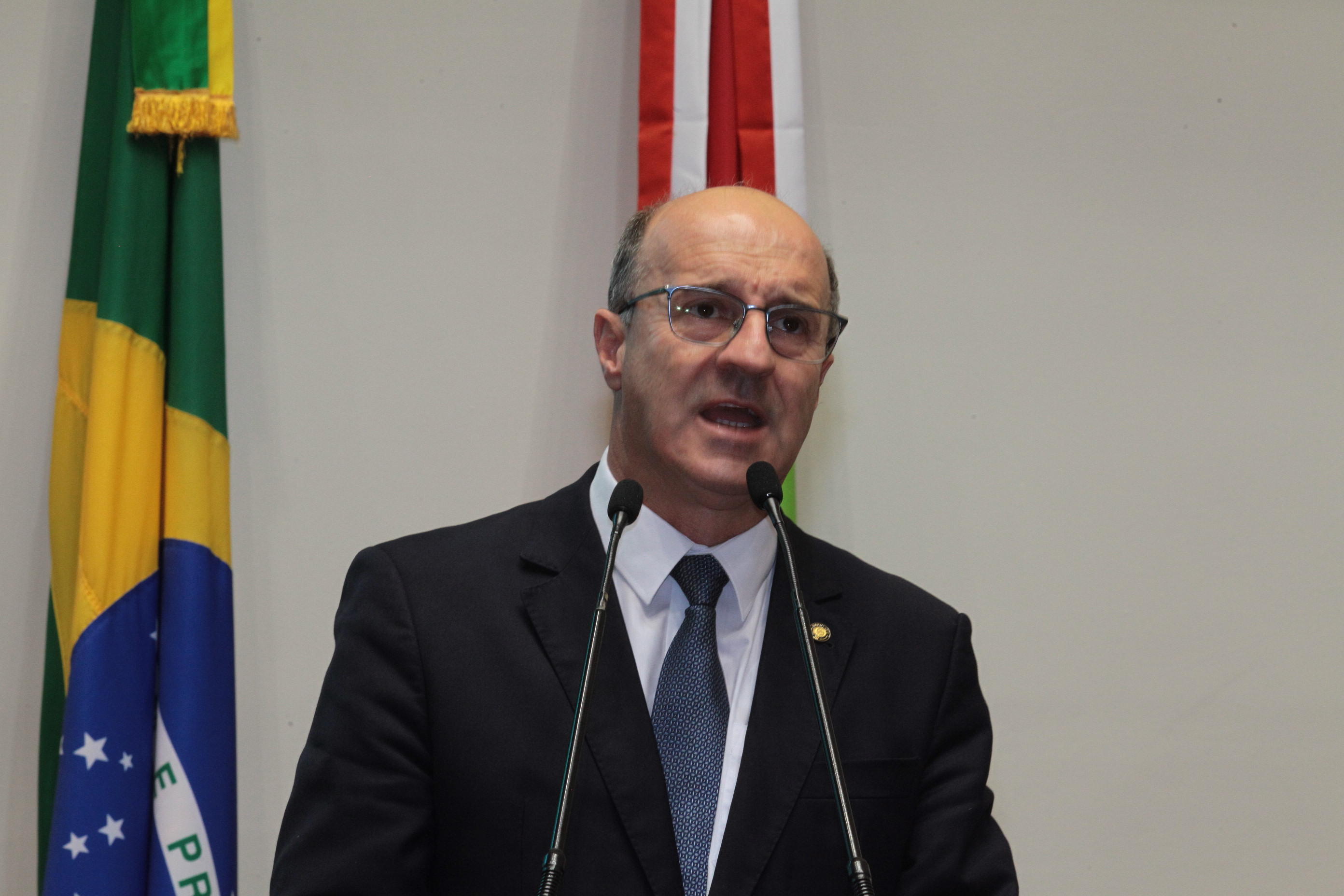Sessão Ordinária - Deputado Milton Scheffer (PP)