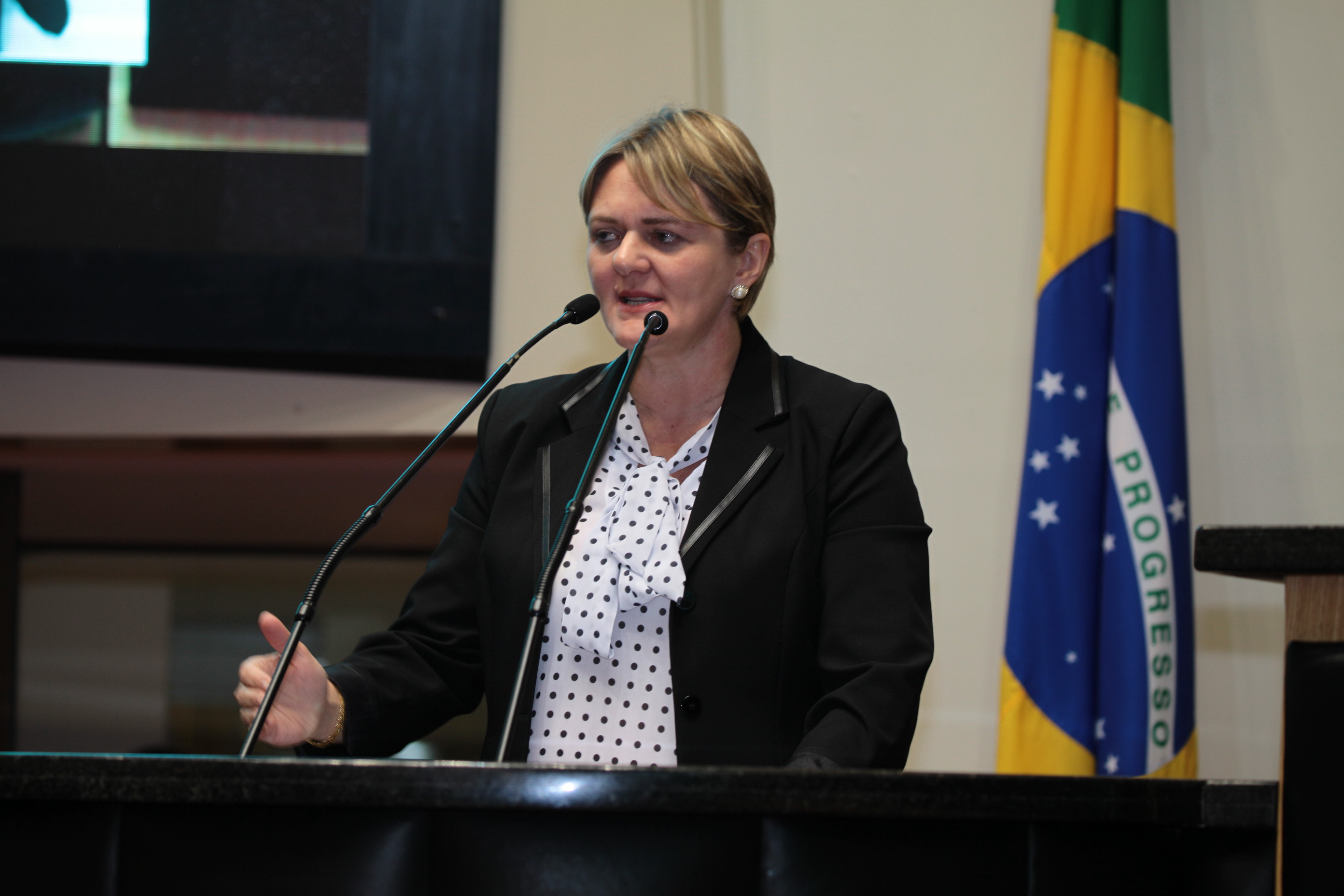 Sessão Ordinária - Deputada Luciane Carminatti (PT)