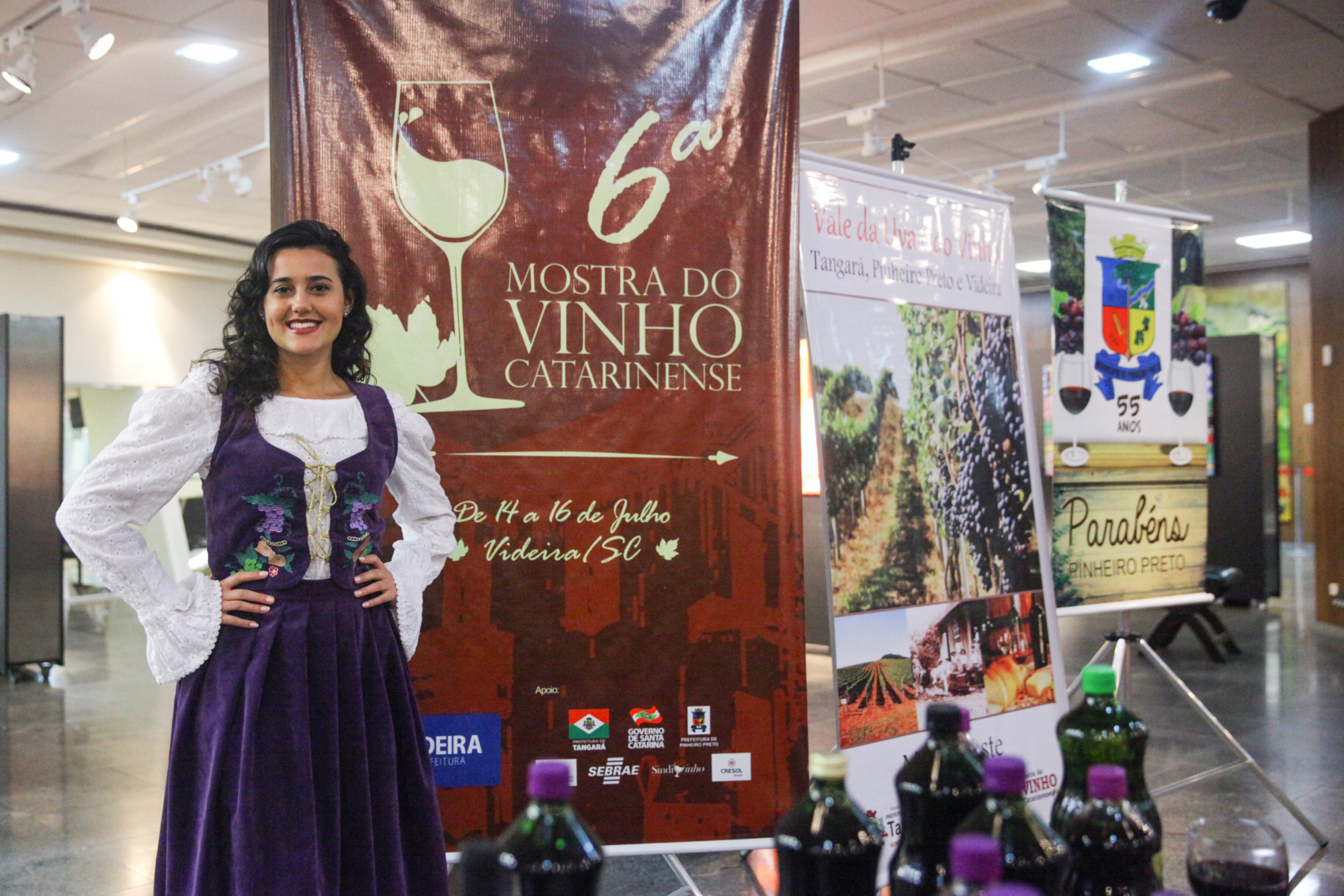 Assembleia Legislativa sedia lançamento da 6ª Mostra do Vinho Catarinense