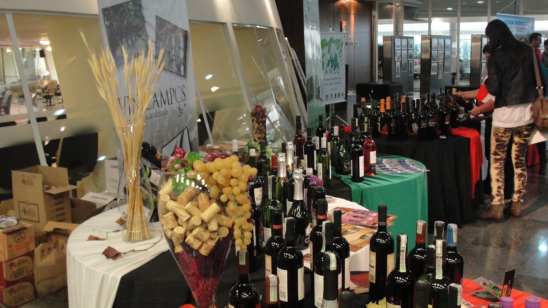 VI Mostra do Vinho Catarinense terá lançamento na Assembleia