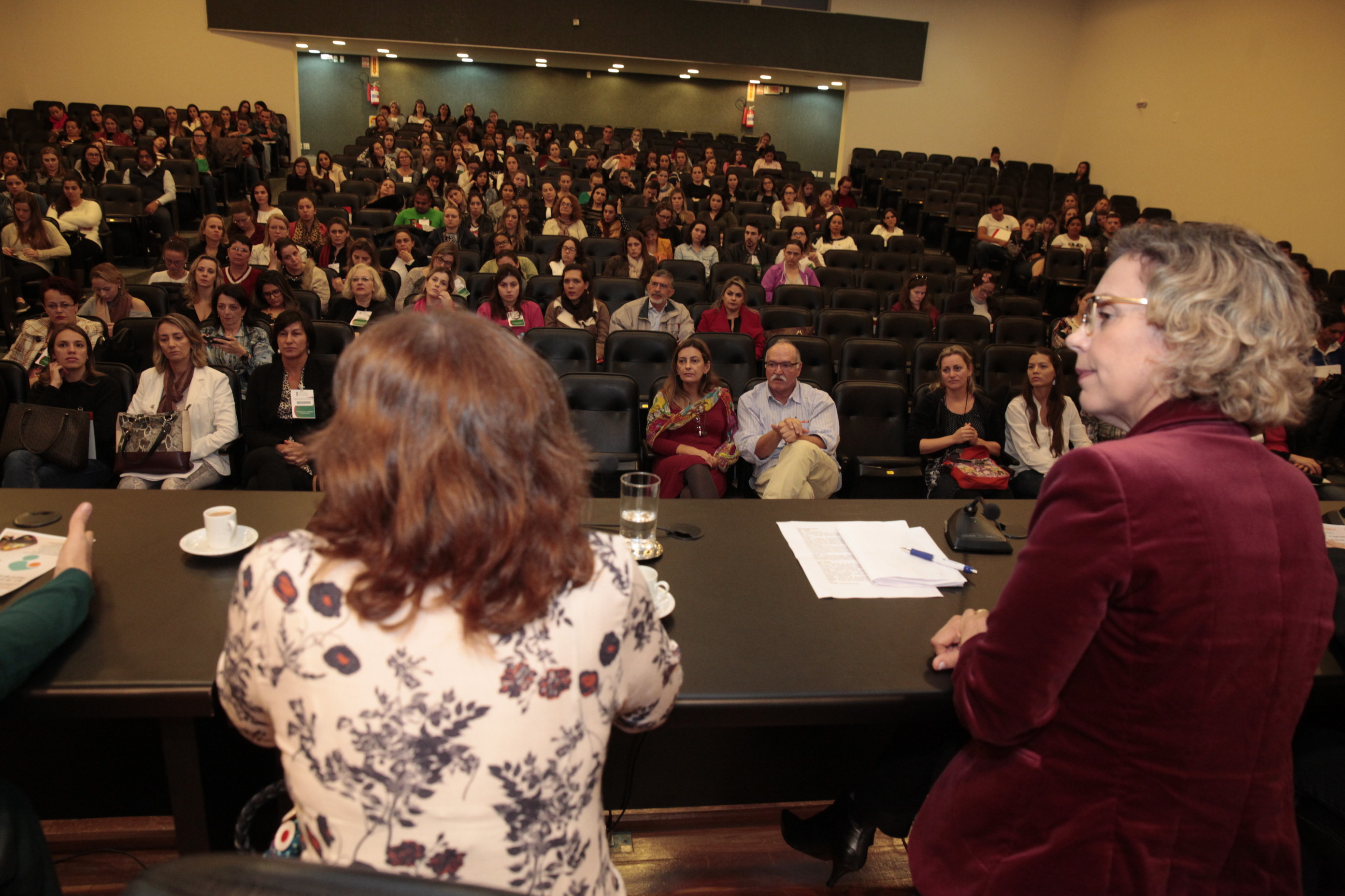 1º Encontro da Associação de Enfermeiros Obstetras, Neonatais , e Obstetrizes de SC