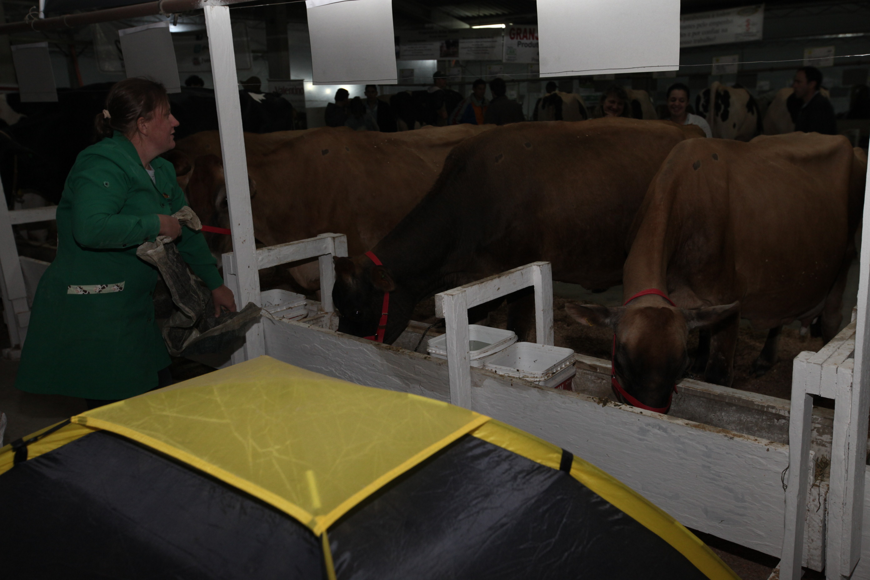 Abertura da 21ª Expofeira Estadual do Leite em Presidente Getúlio