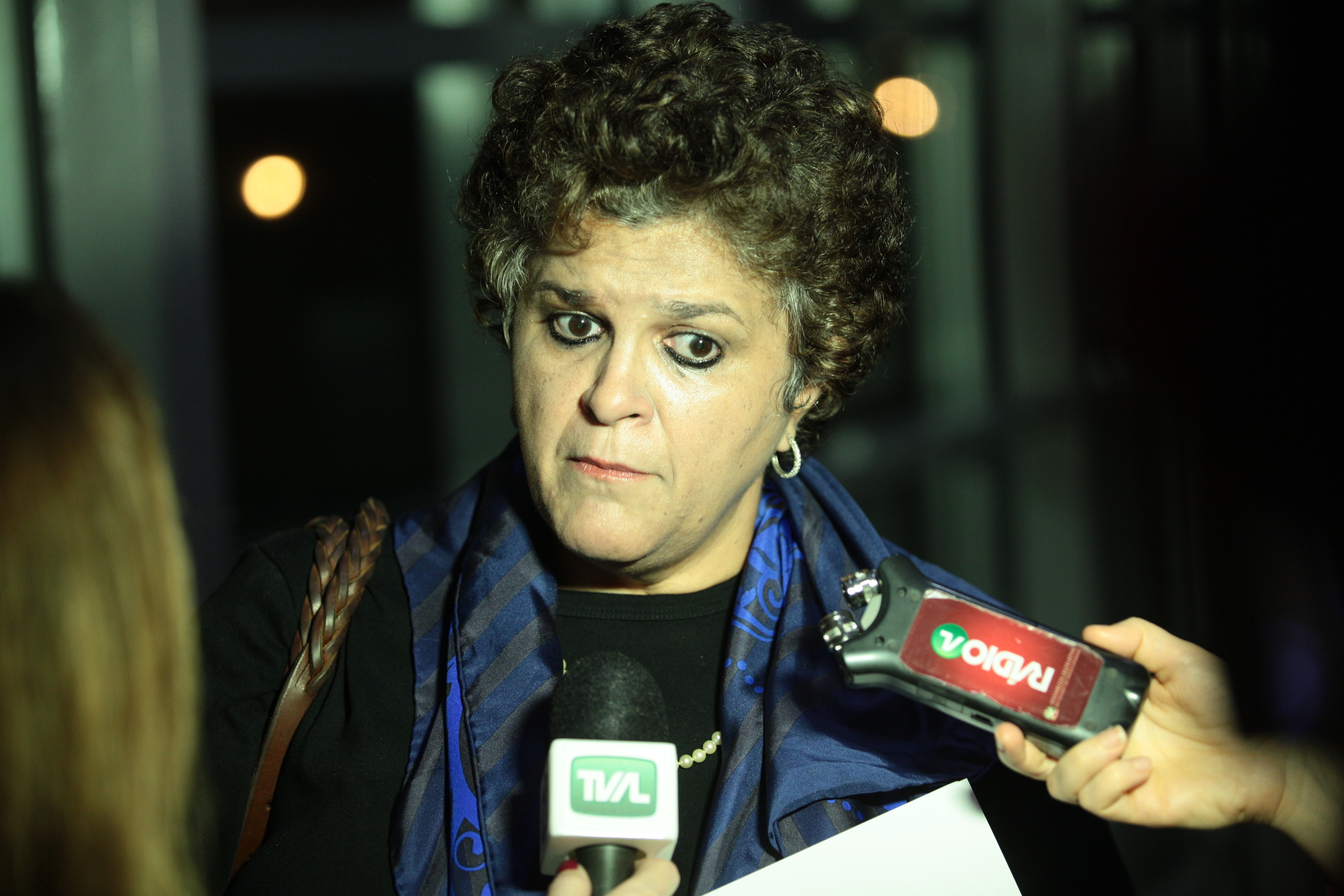 Seminário sobre Licenciamento Ambiental e Segurança Jurídica - Isabela Mônica Vieiera Teixeira