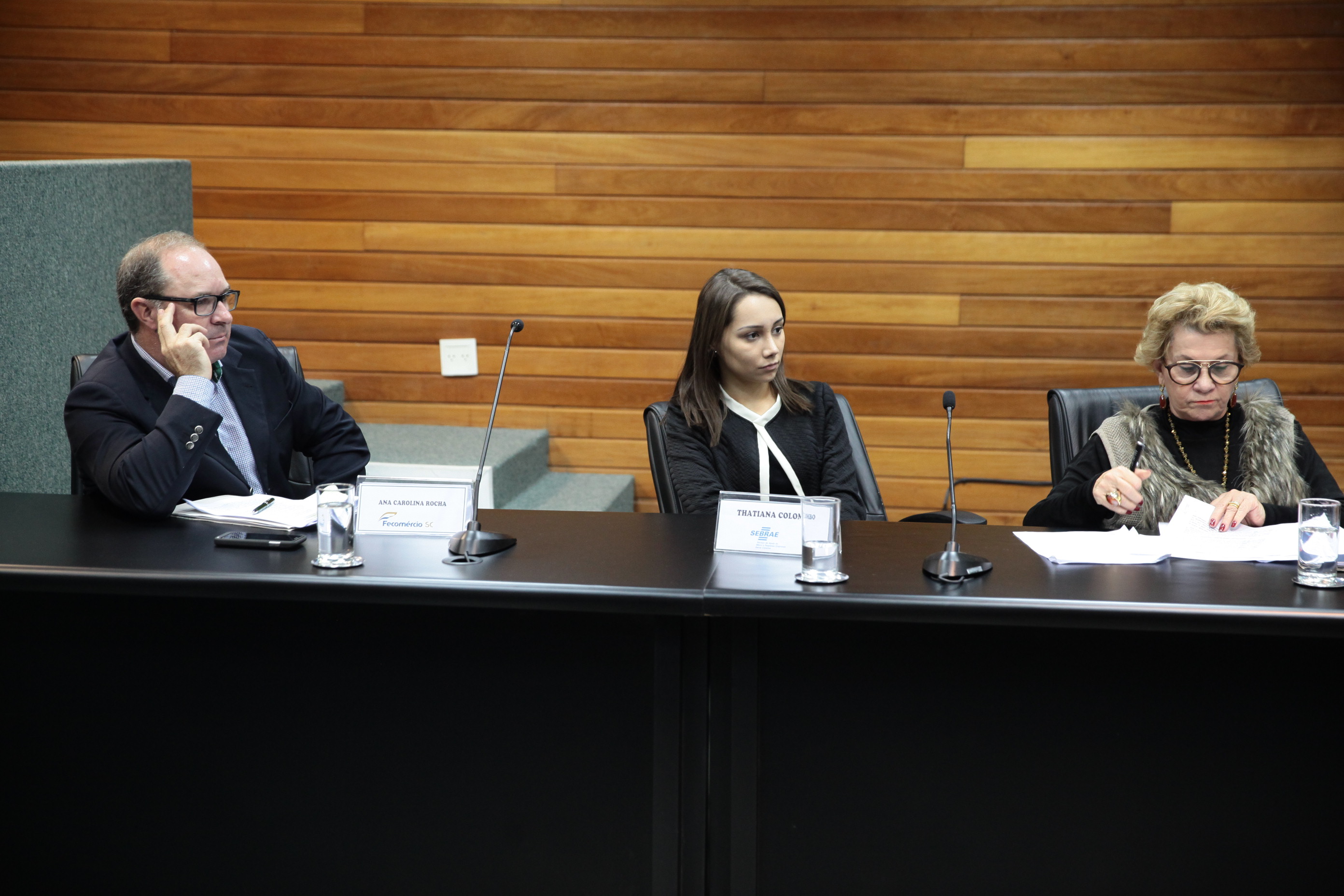 Reunião da Comissão de Responsabilidade Social.