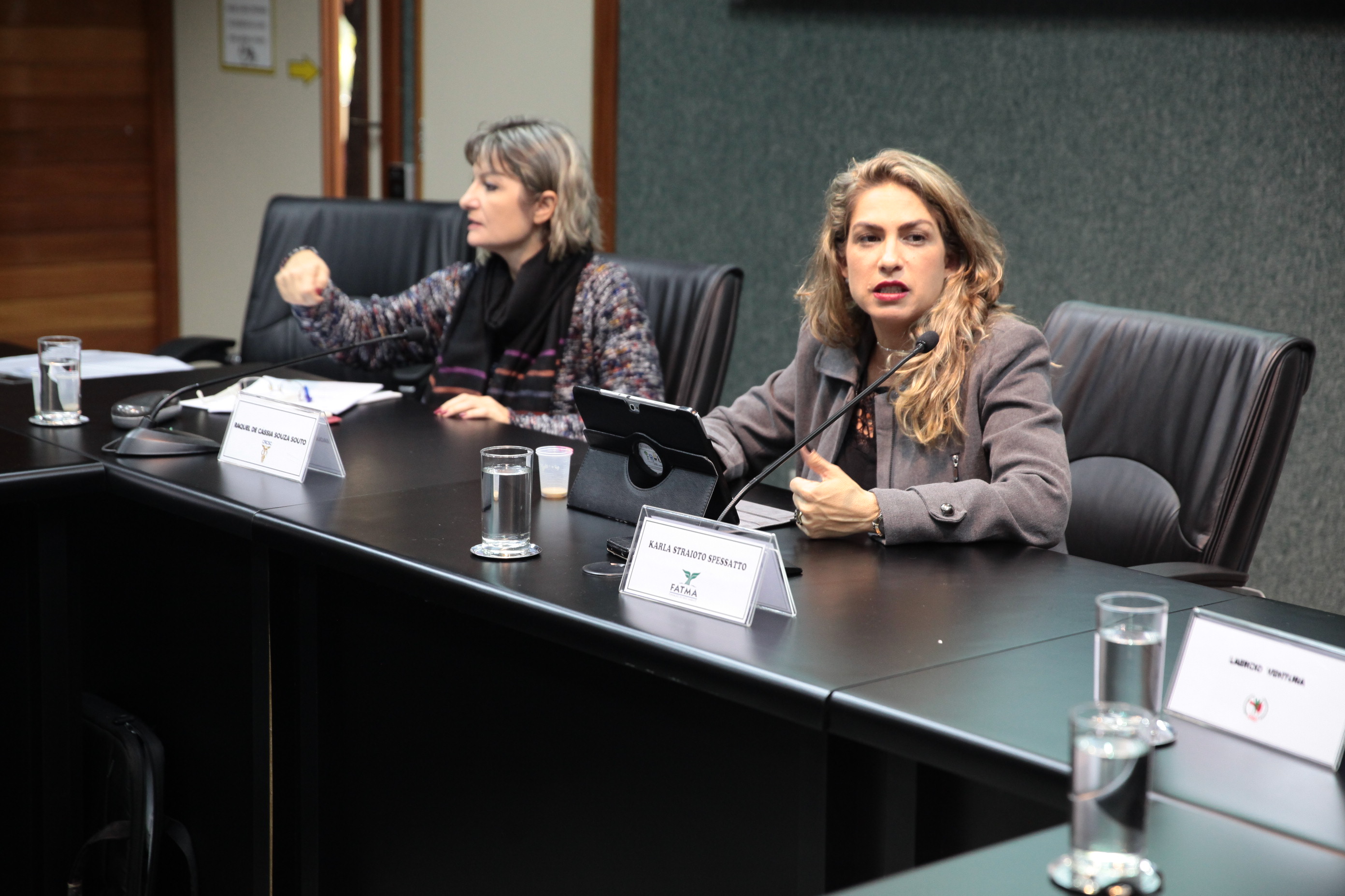 Reunião da Comissão de Responsabilidade Social.