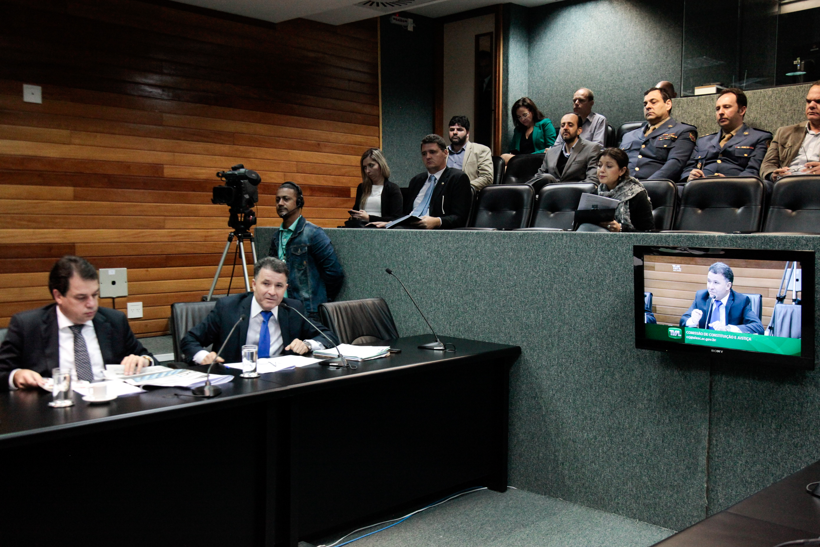 Comissão de Constituição e Justiça.