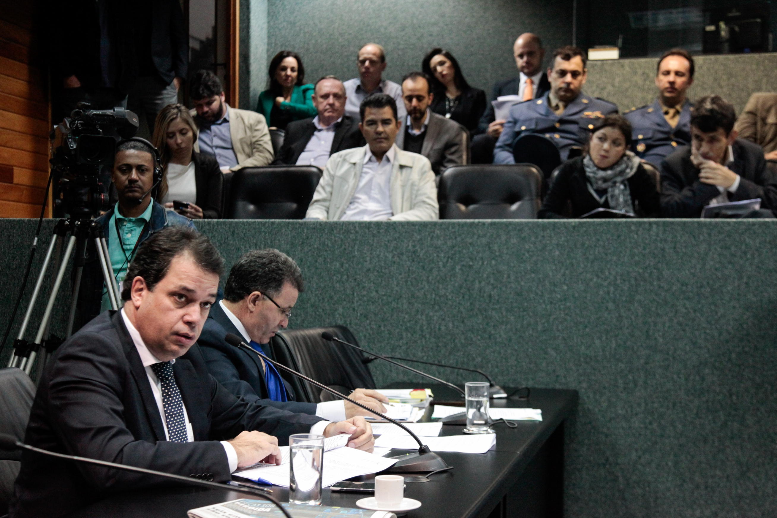 Comissão de Constituição e Justiça.