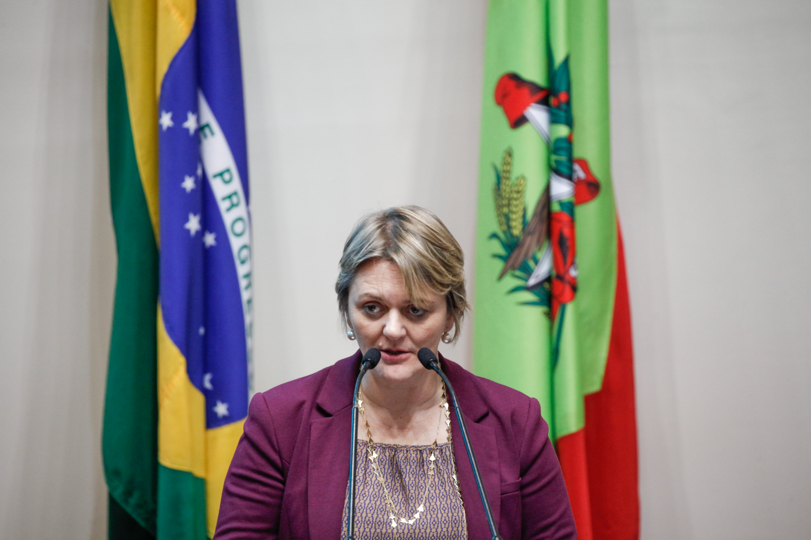 Sessão Ordinária. Deputada Luciane Carminatti (PT).