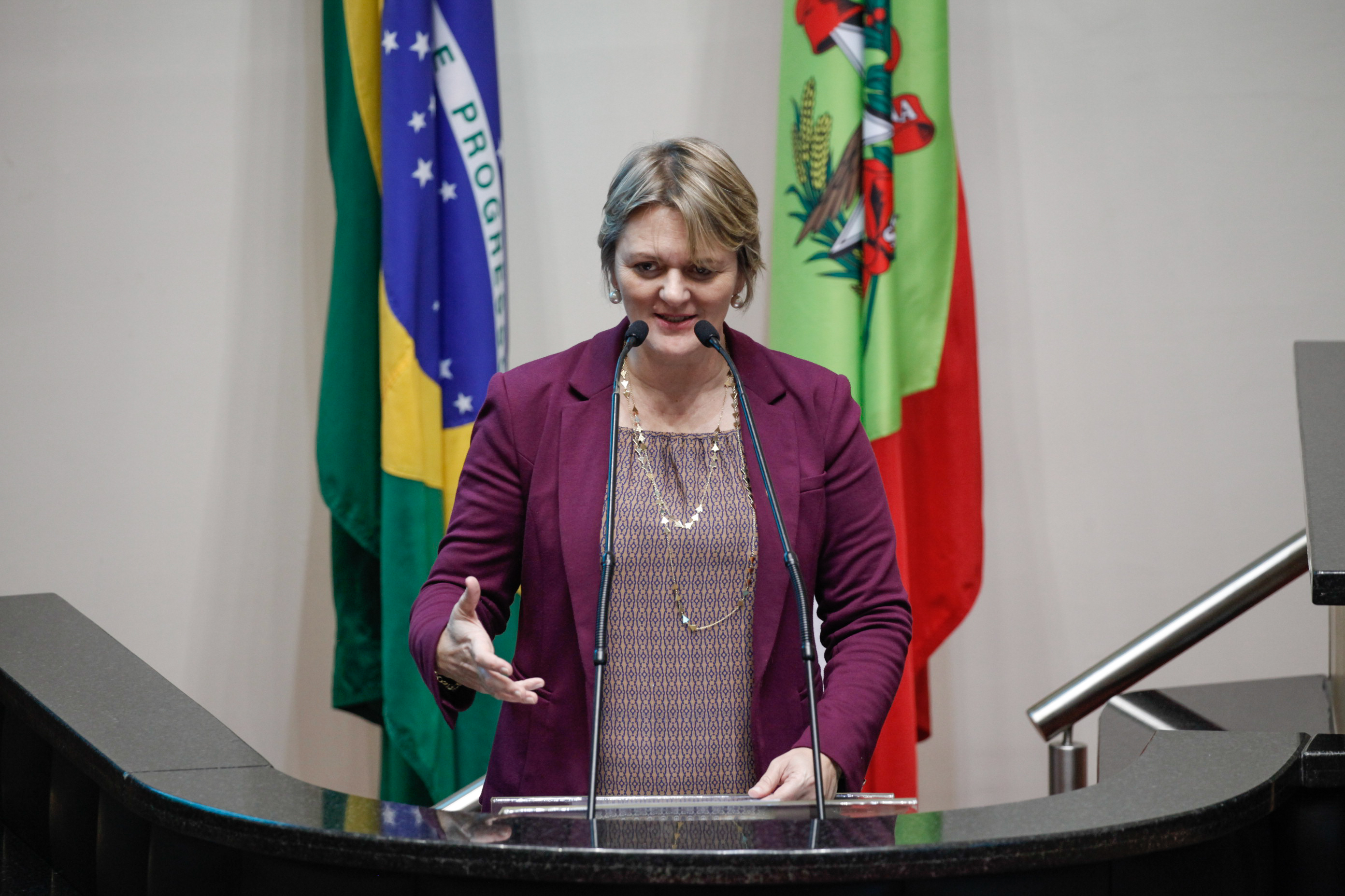Sessão Ordinária. Deputada Luciane Carminatti (PT).