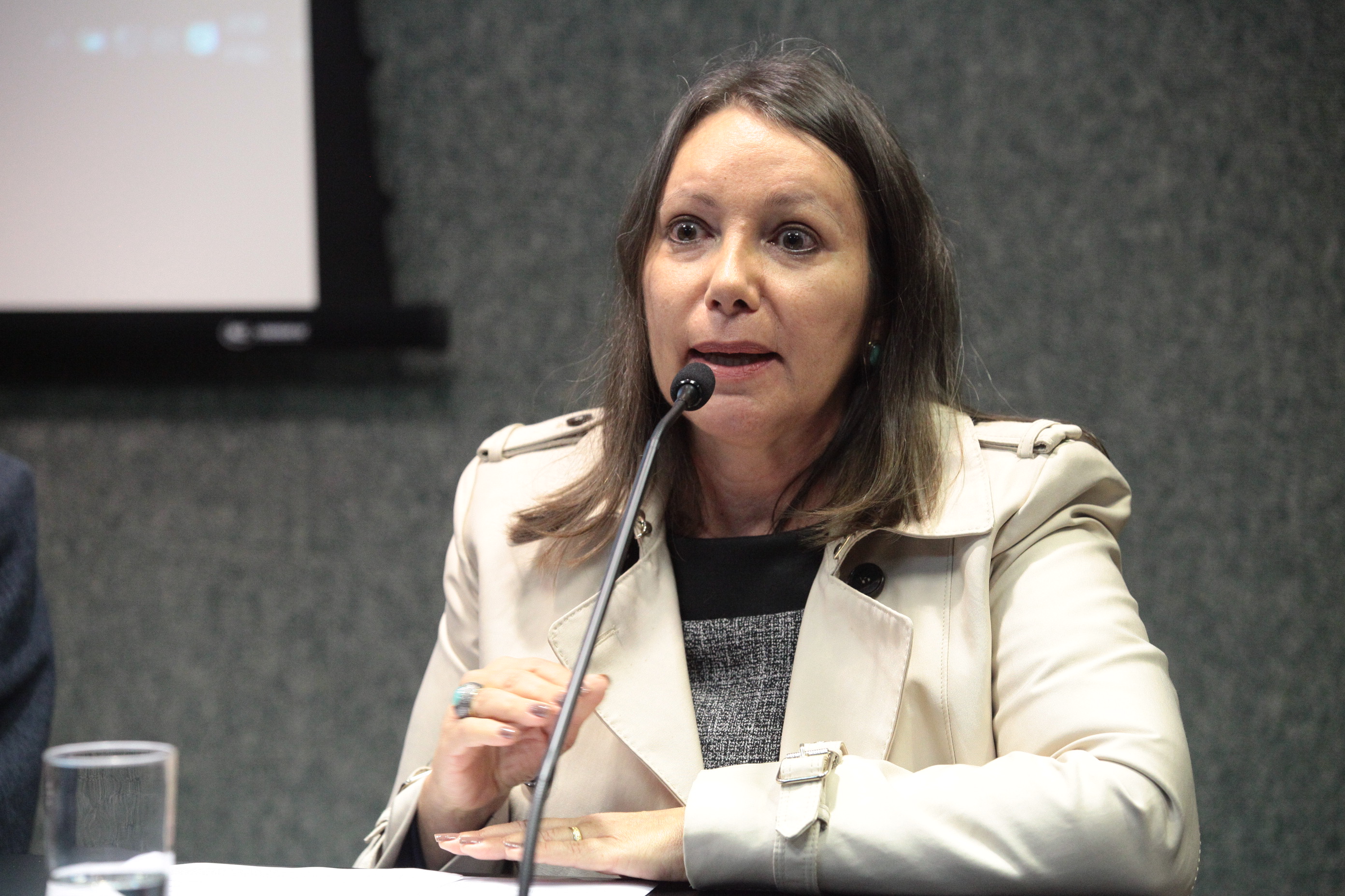 Dolores Cunha Amorim Santos. Audiência Pública 