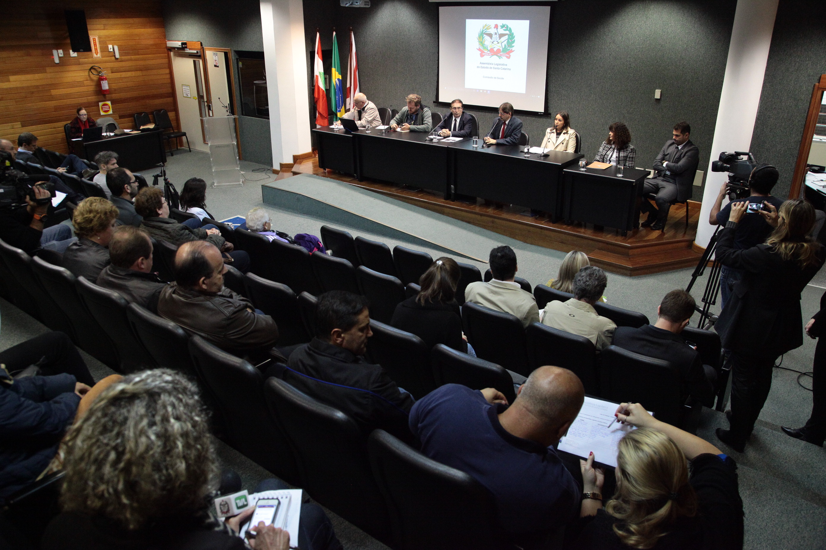 Audiência Pública “Causas e Consequências da Depressão em Santa Catarina”