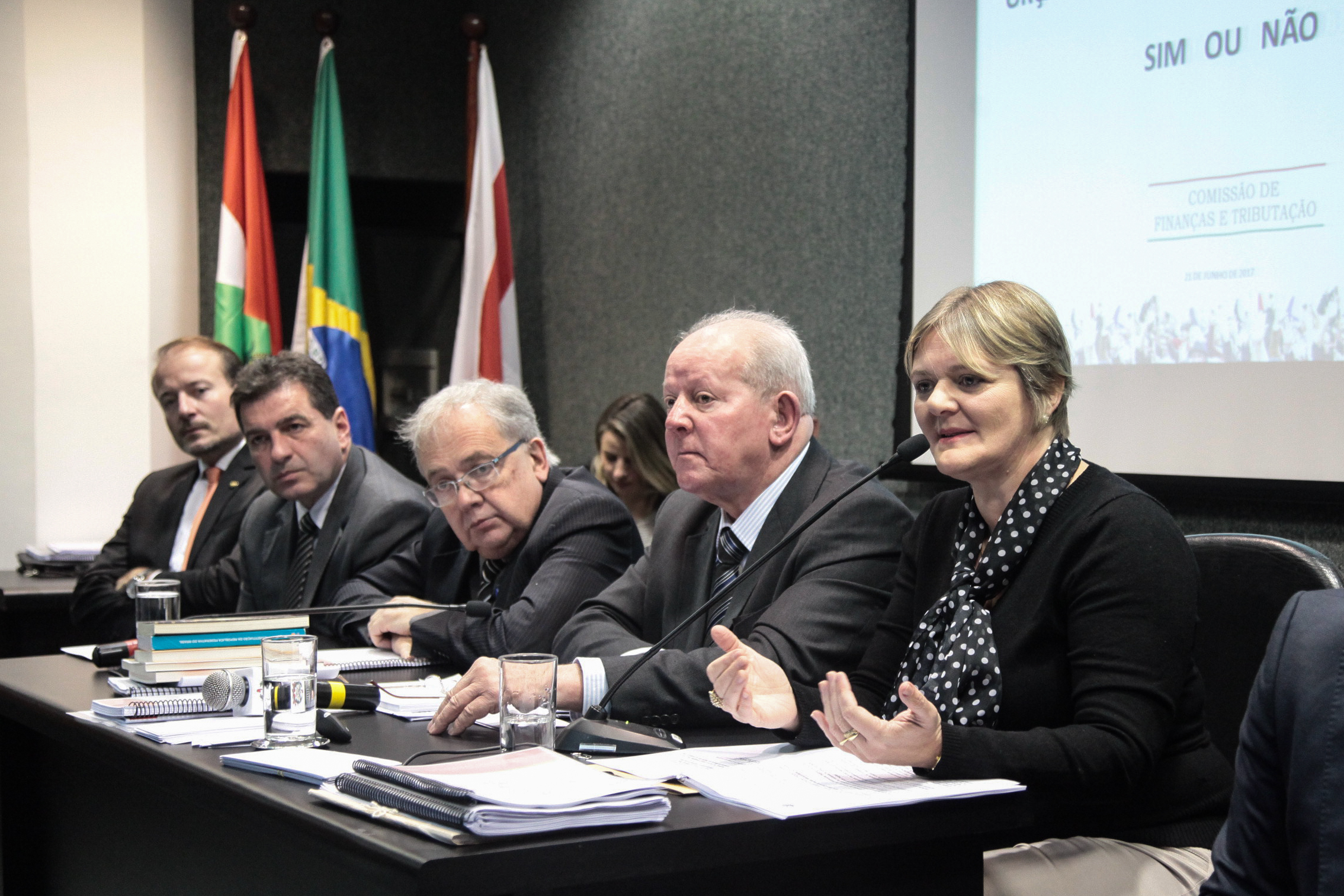 Audiência Pública Sobre o Orçamento Regionalizado Impositivo.