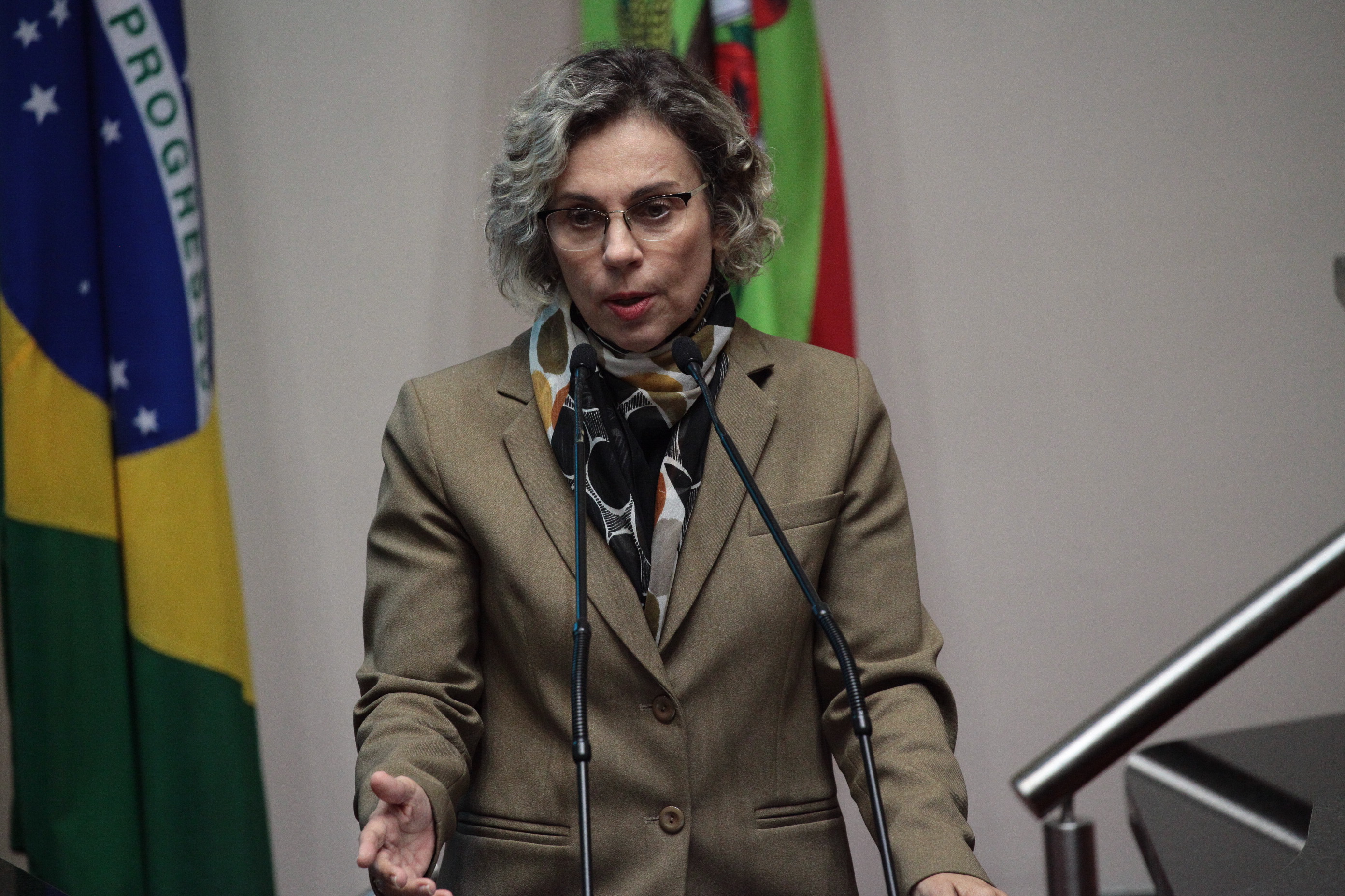 Deputada Ana Paula Lima (PT). Sessão Ordinária. Foto: Solon Soares