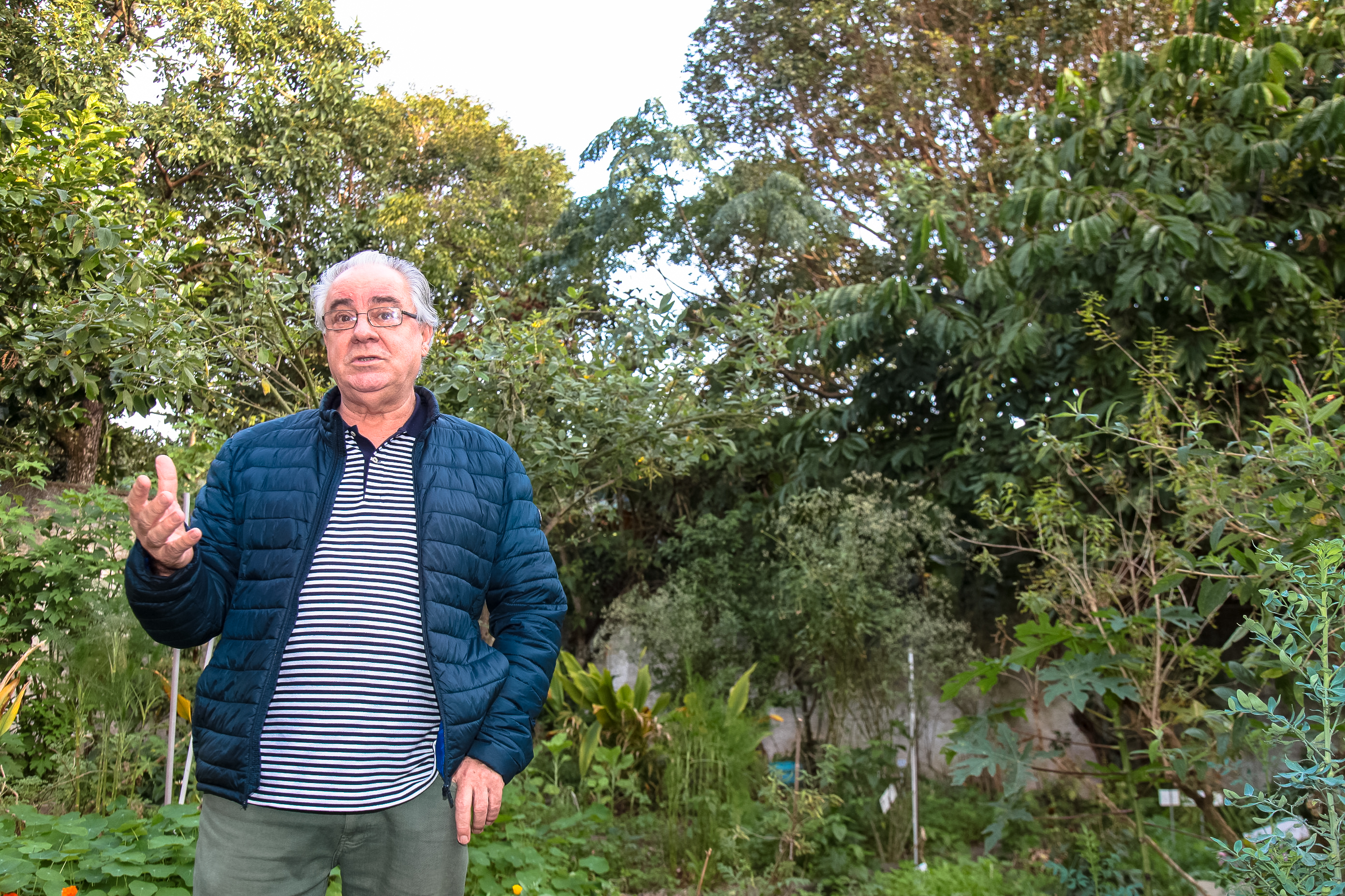 Antônio de Miranda.