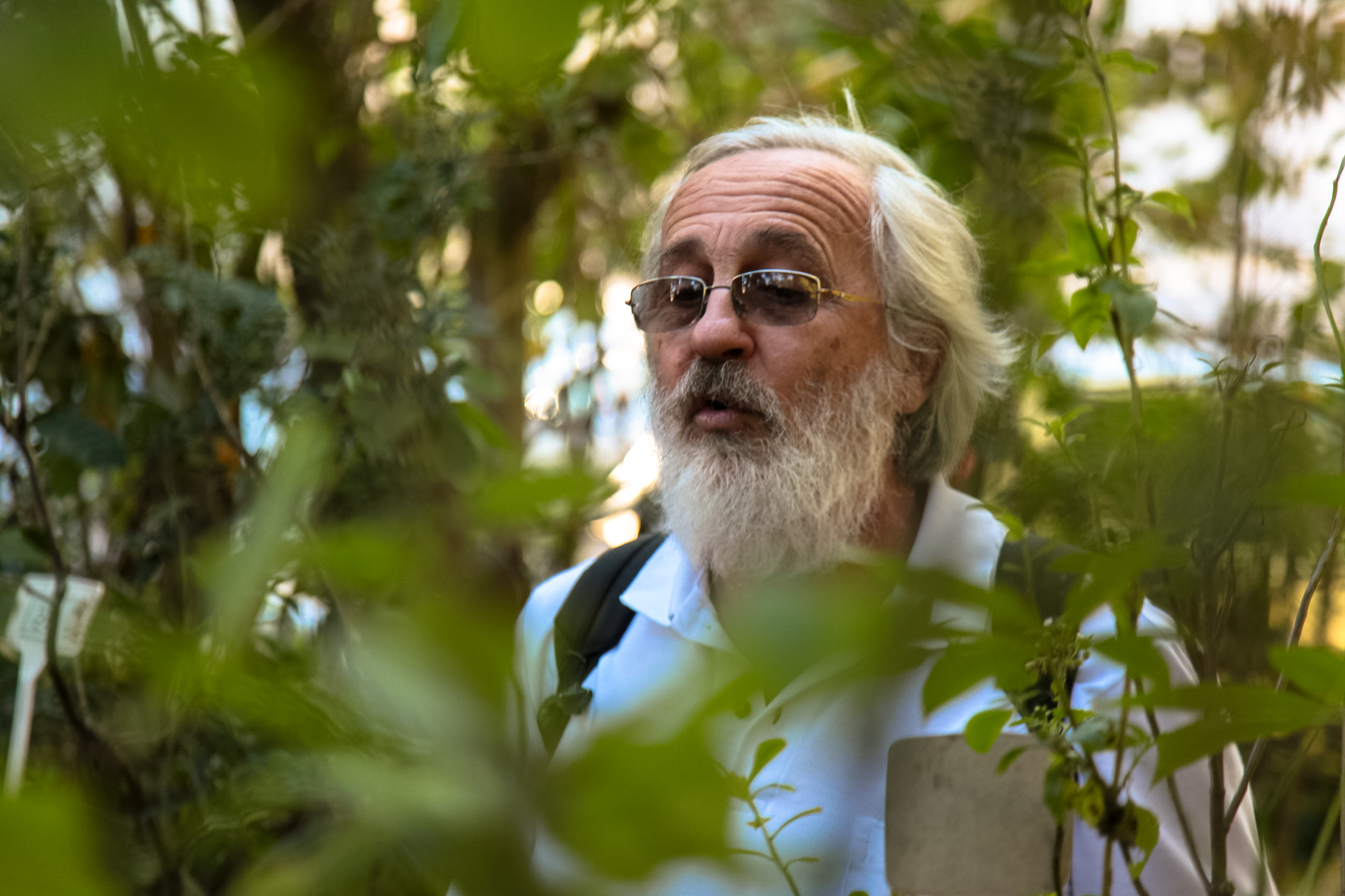 César Paulo Simionato. Horto Didático de Plantas Medicinais - UFSC