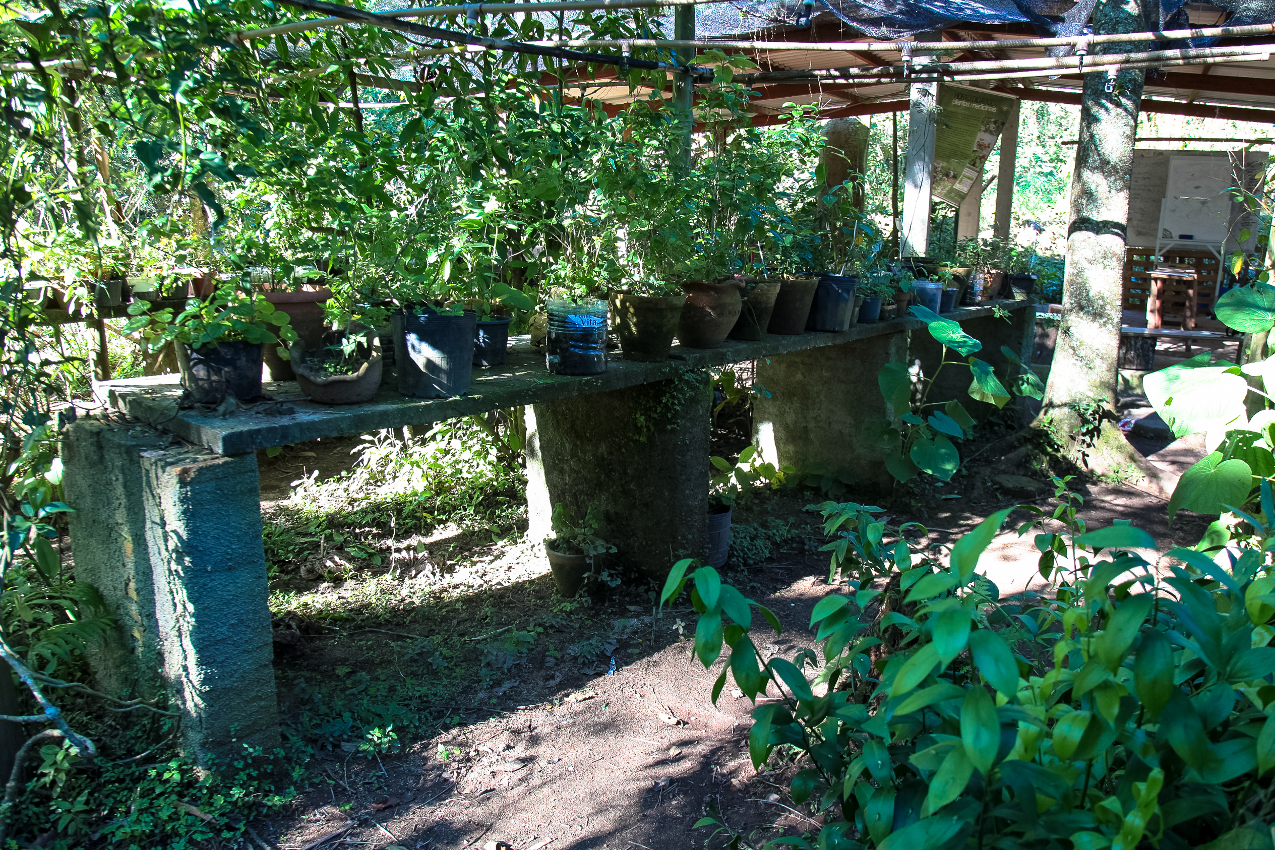 Horto Didático de Plantas Medicinais - UFSC