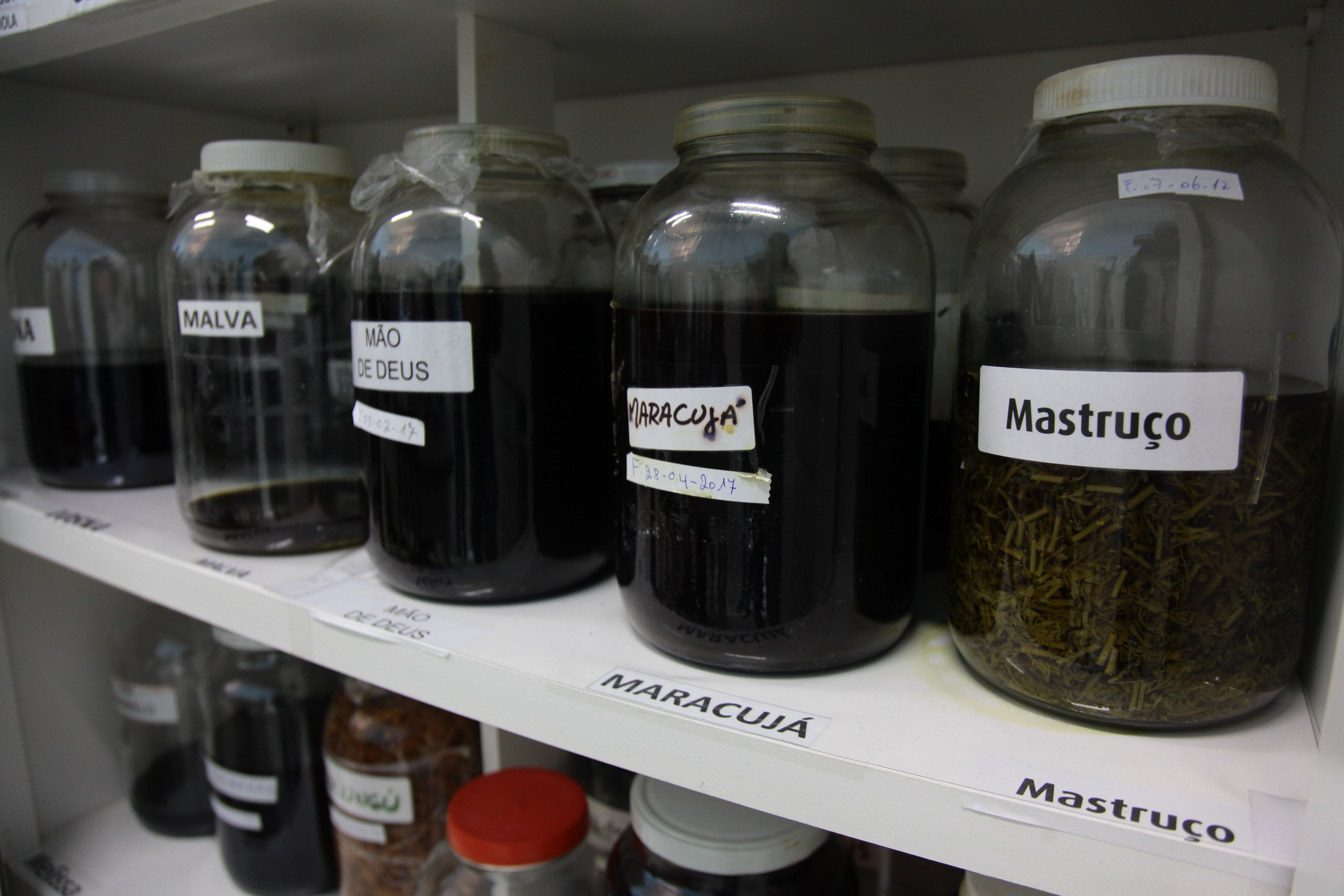 Ervas Medicinais