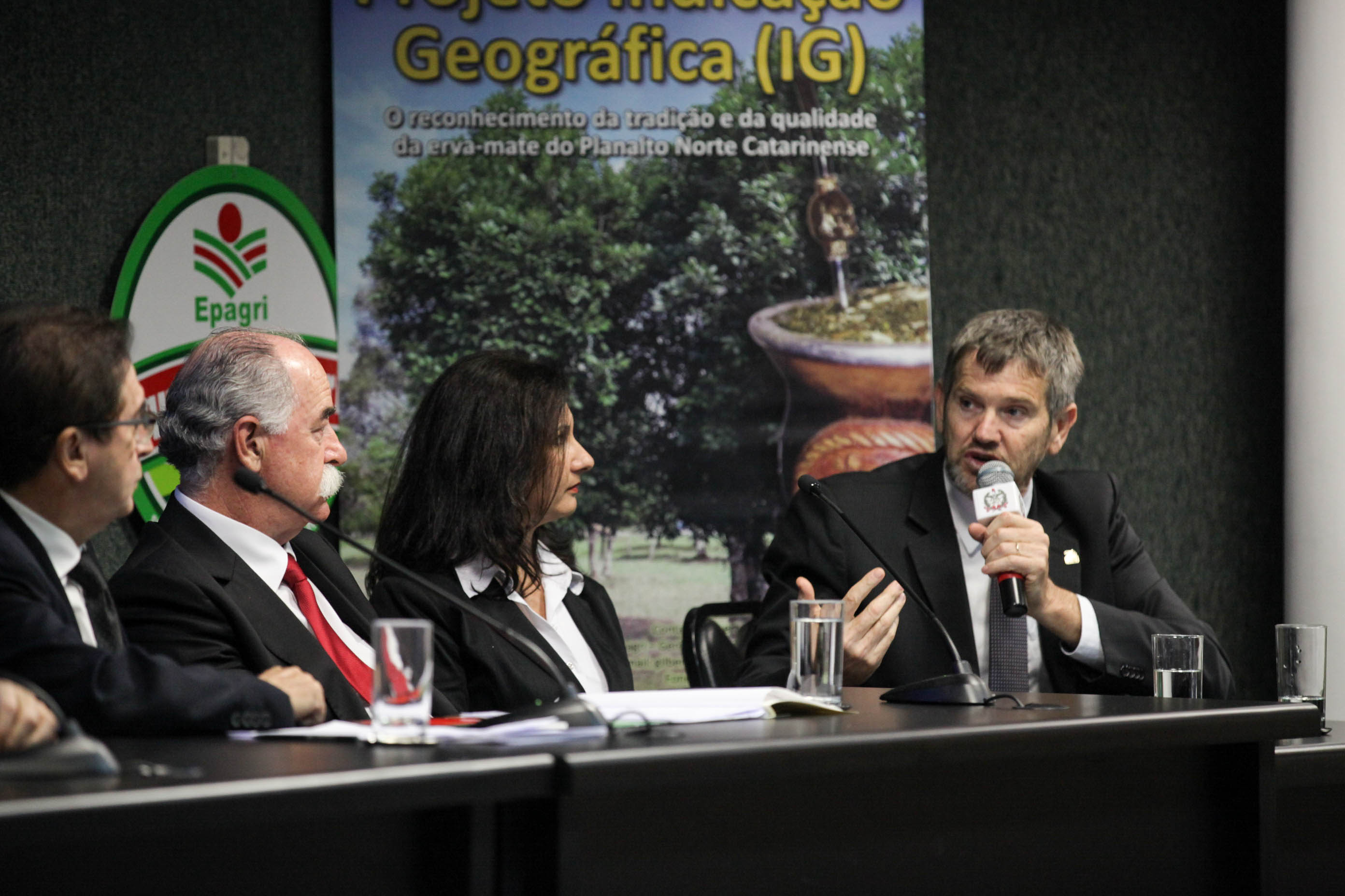 Reunião da Frente Parlamentar da Erva-Mate.