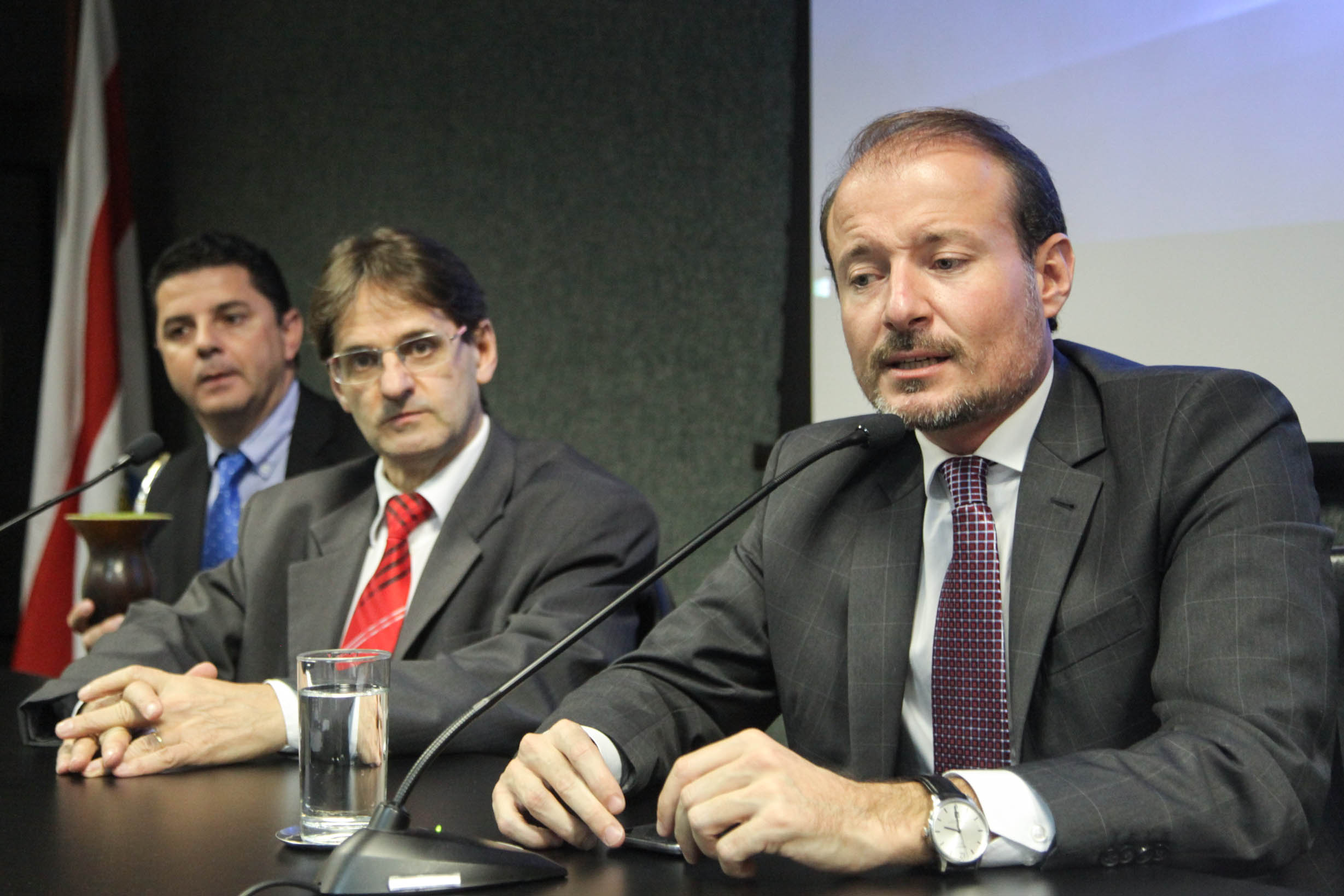 Reunião da Frente Parlamentar da Erva-Mate.