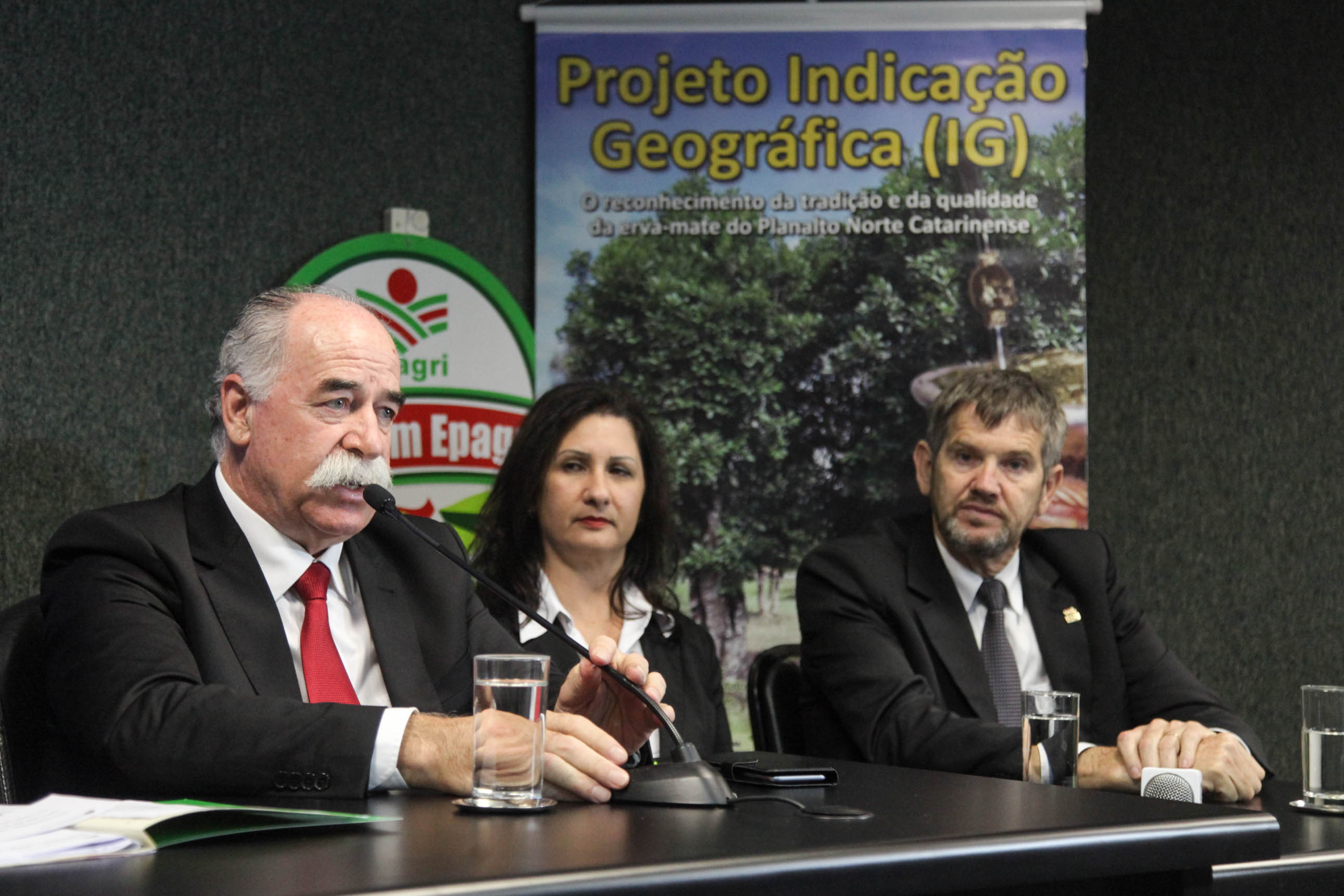 Reunião da Frente Parlamentar da Erva-Mate.