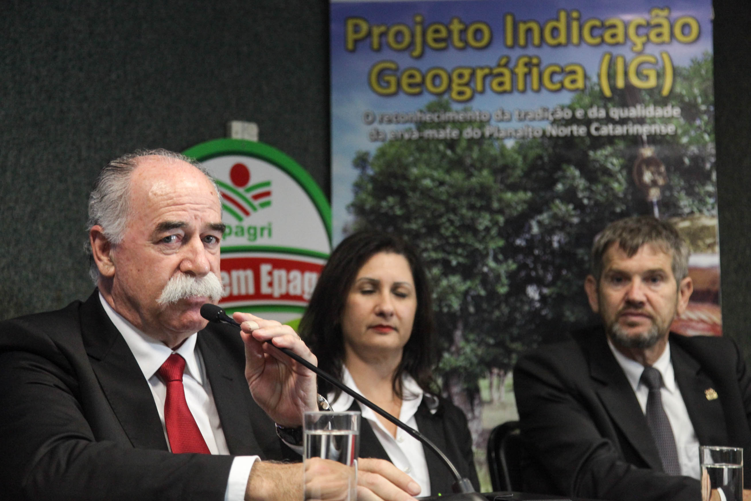 Reunião da Frente Parlamentar da Erva-Mate.