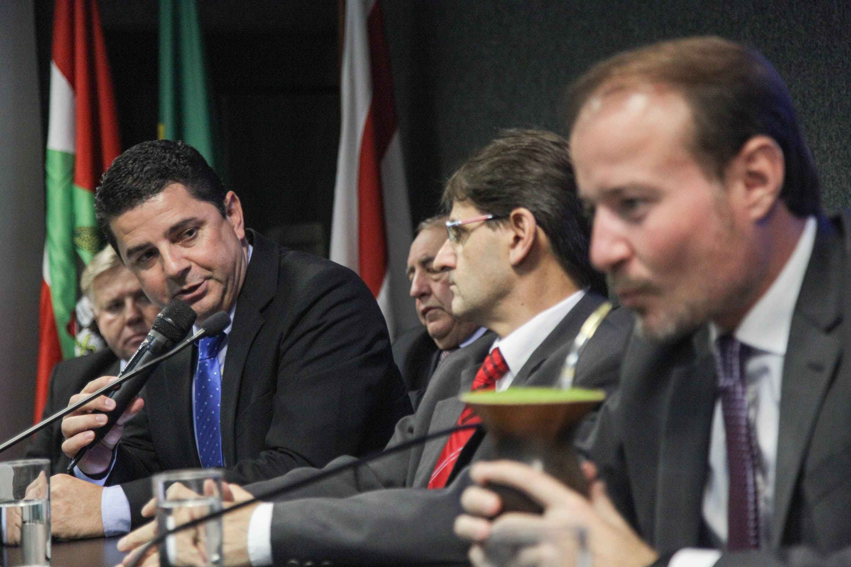 Reunião da Frente Parlamentar da Erva-Mate.