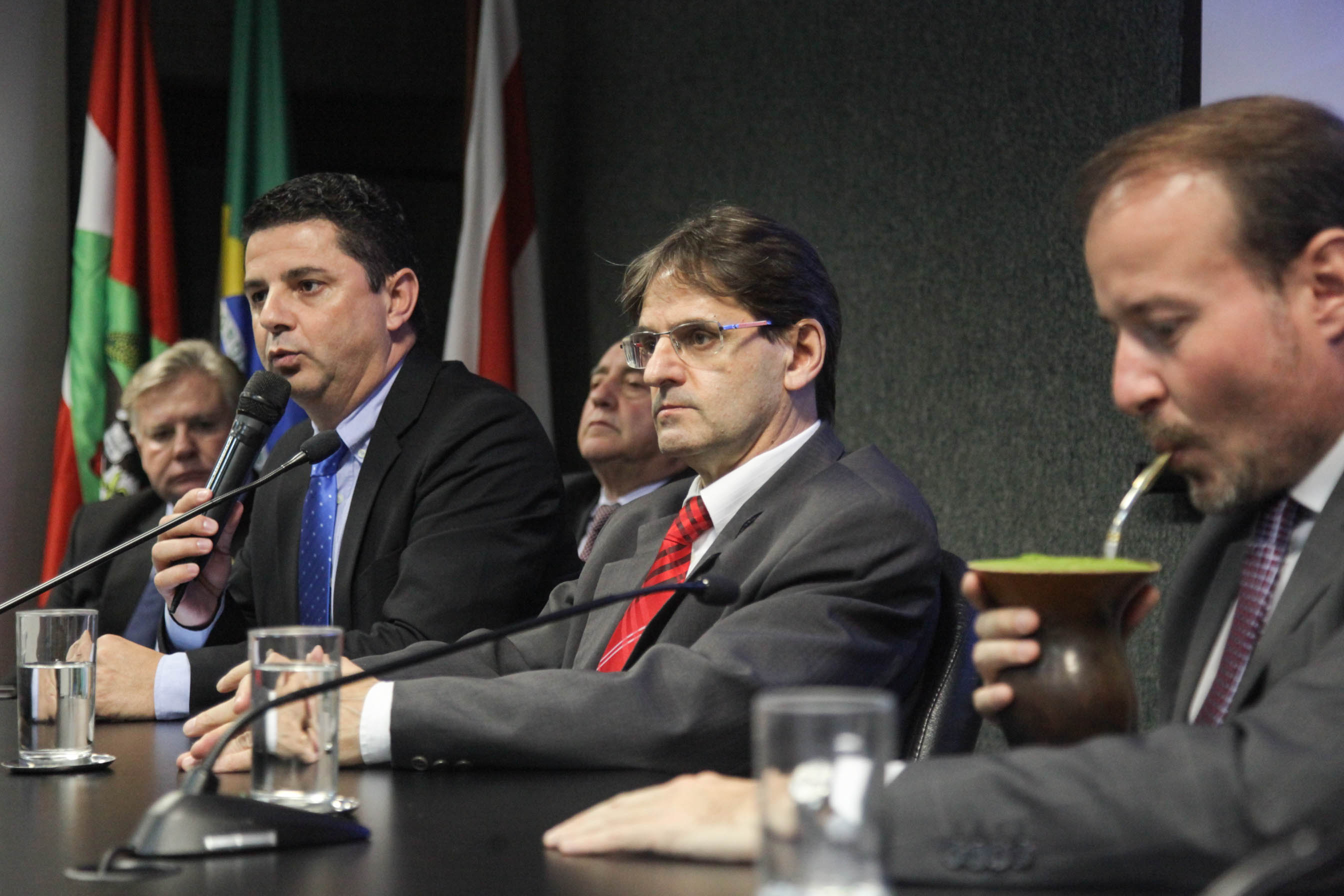 Reunião da Frente Parlamentar da Erva-Mate.